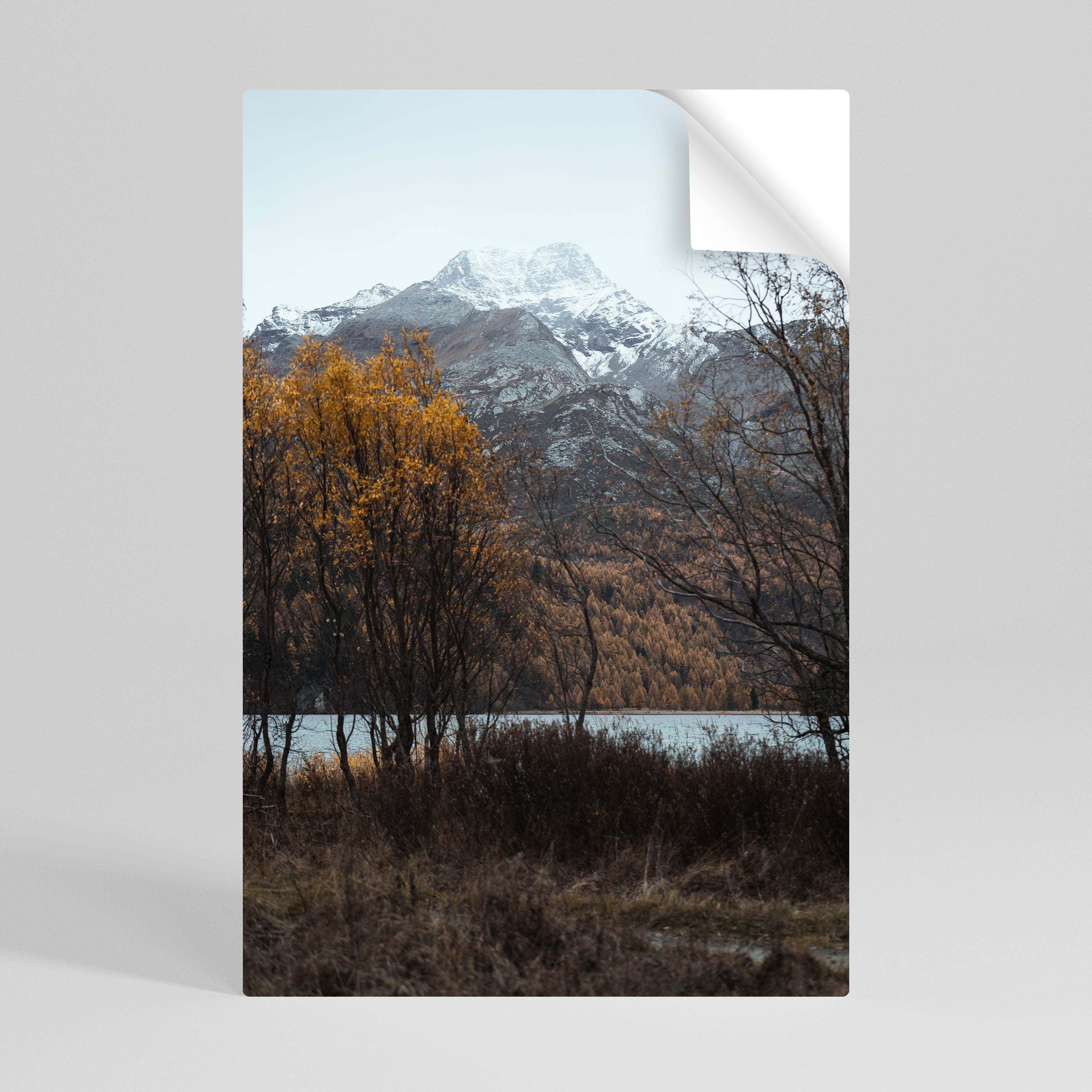 Affiche verticale autocollante « L'ÉTREINTE SILENCIEUSE DE L'AUTOMNE »