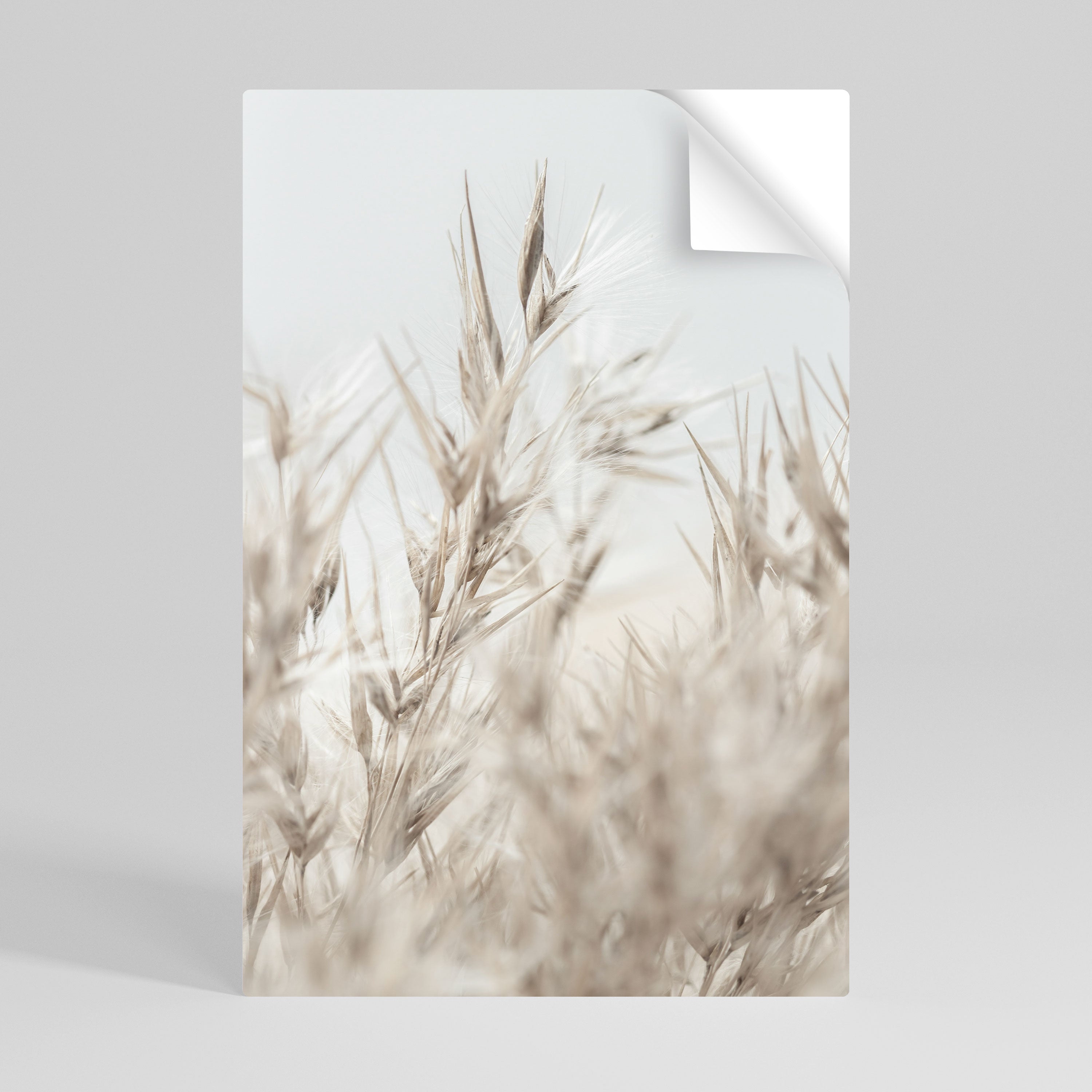 Affiche verticale autocollante « TRANQUIL GRASSES »