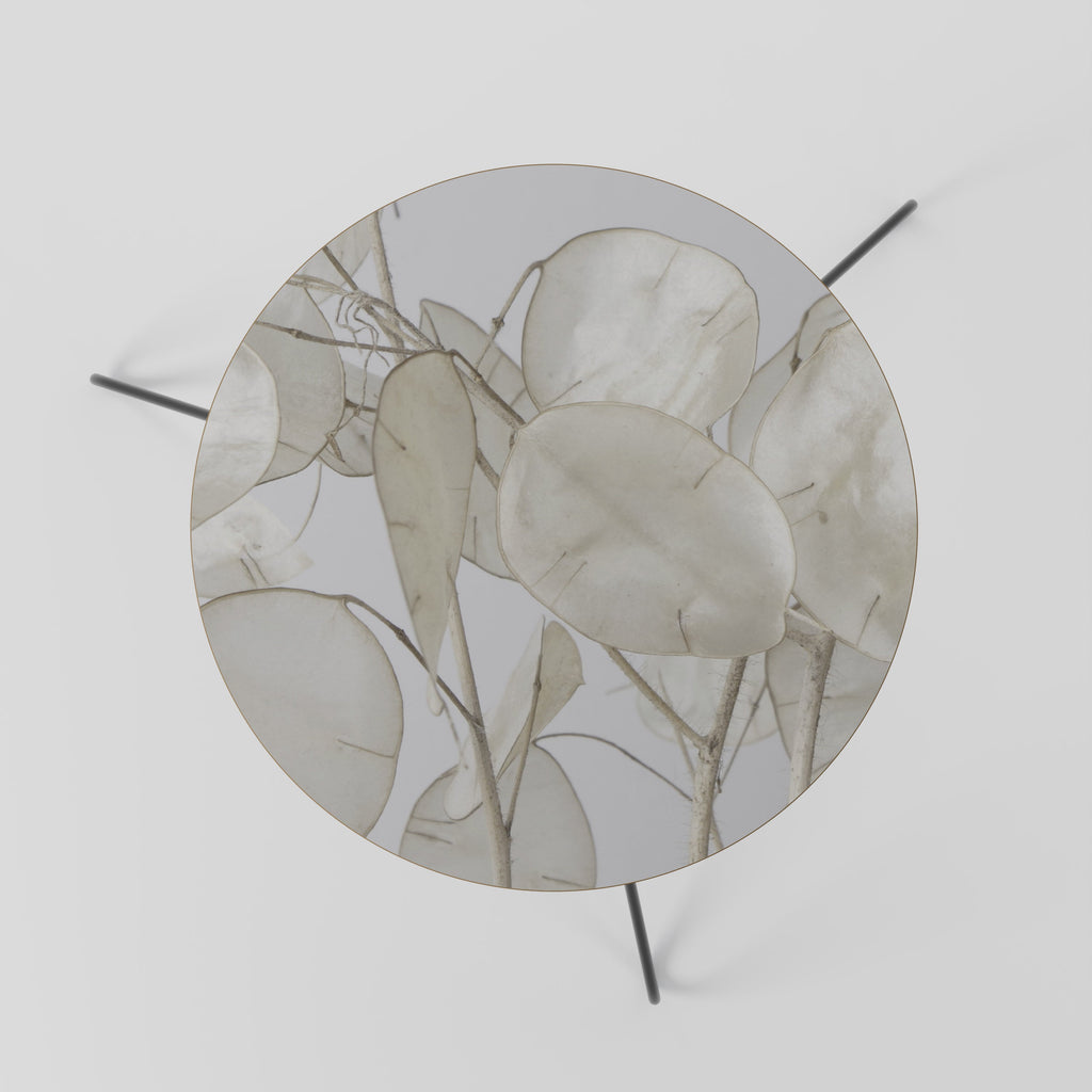 Table basse SILKY FOLIAGE WHISPERS 60