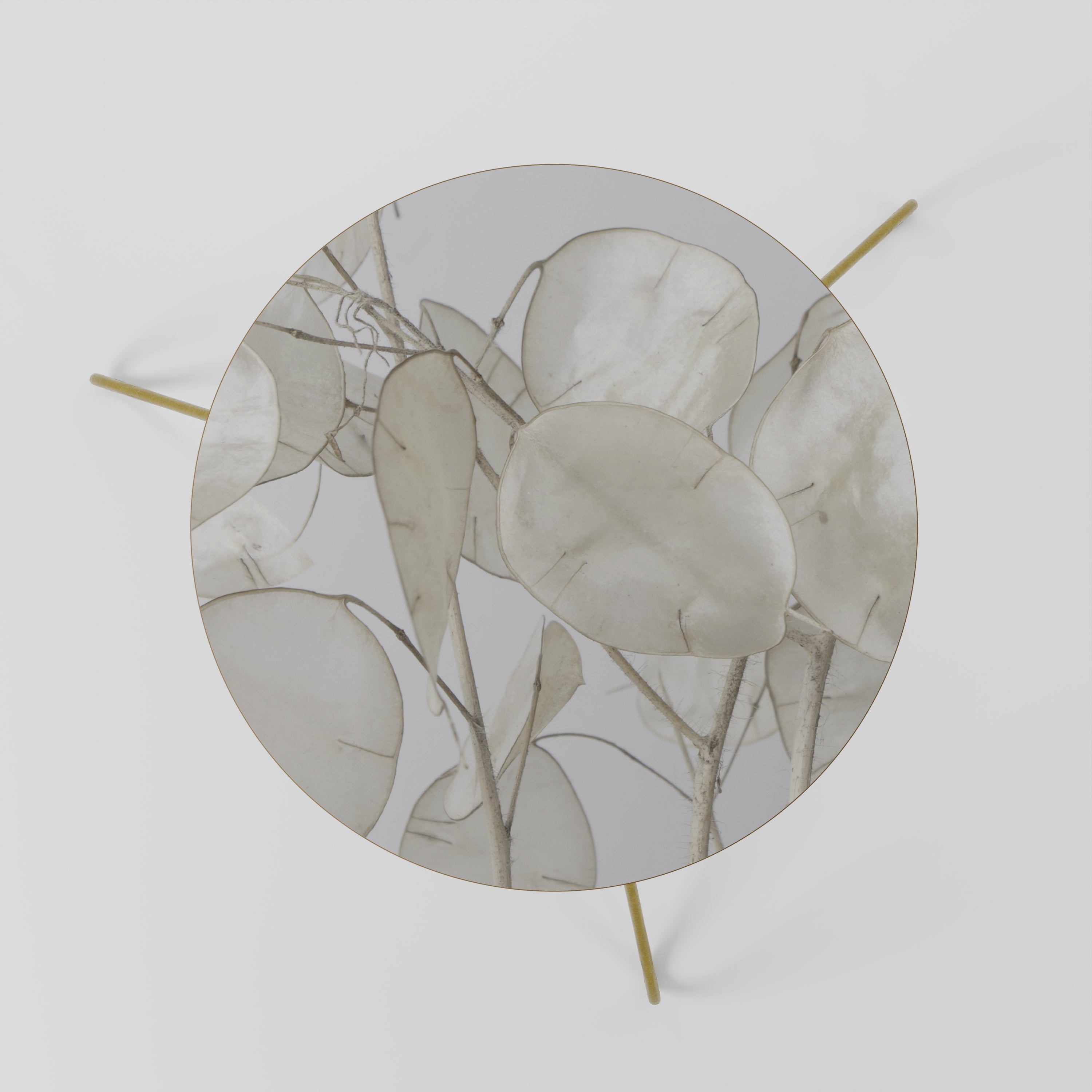 Table basse SILKY FOLIAGE WHISPERS 60