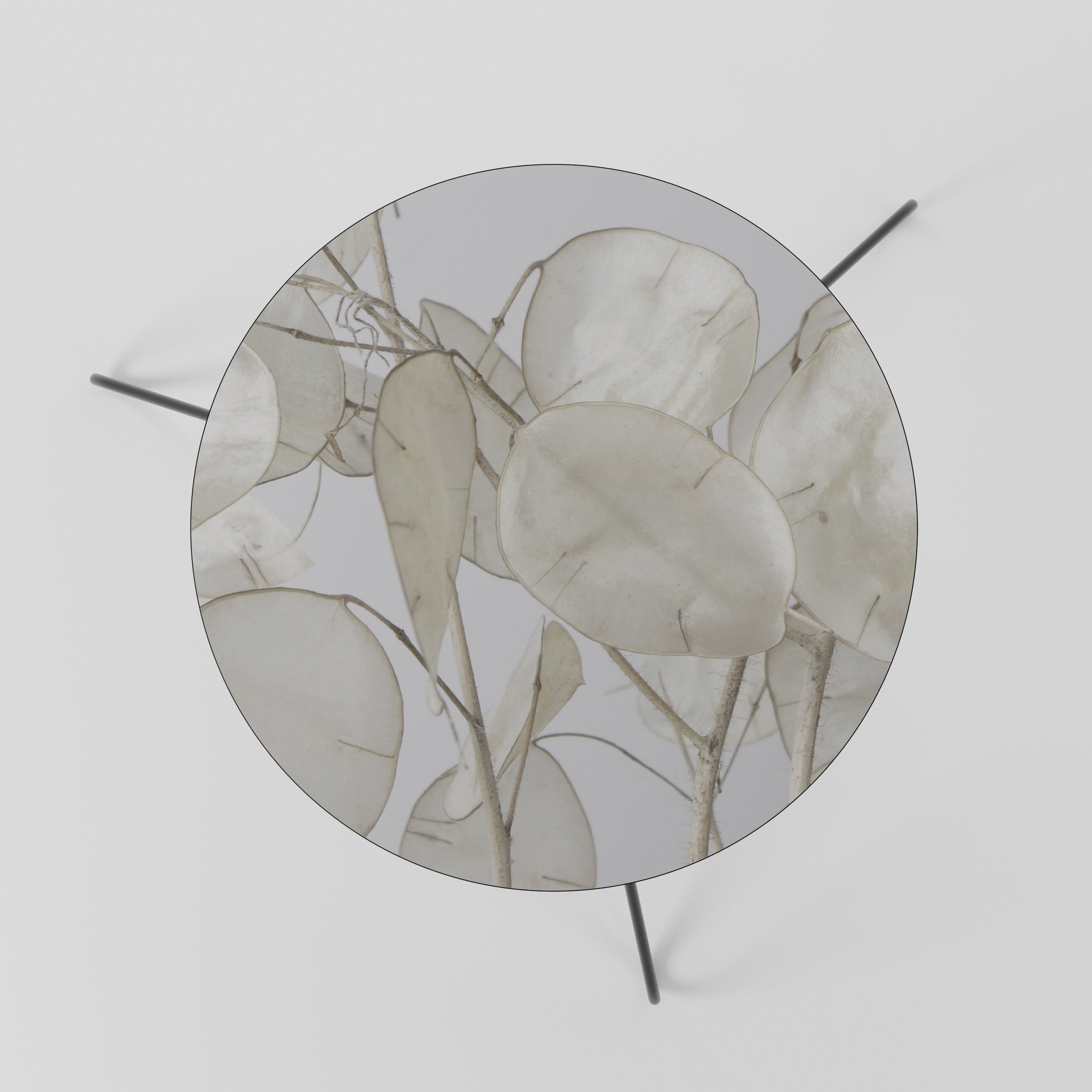 Table basse SILKY FOLIAGE WHISPERS 60