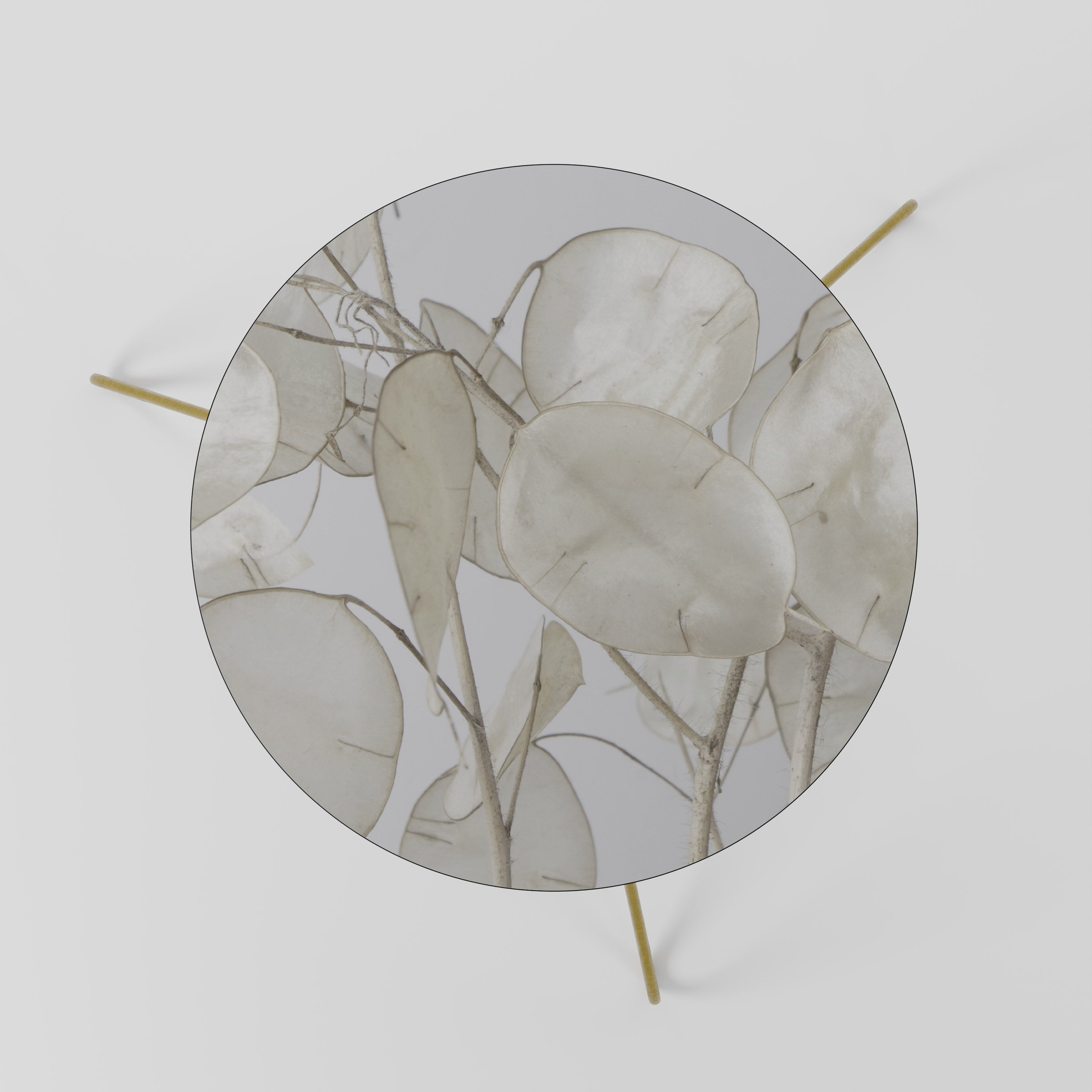 Table basse SILKY FOLIAGE WHISPERS 60