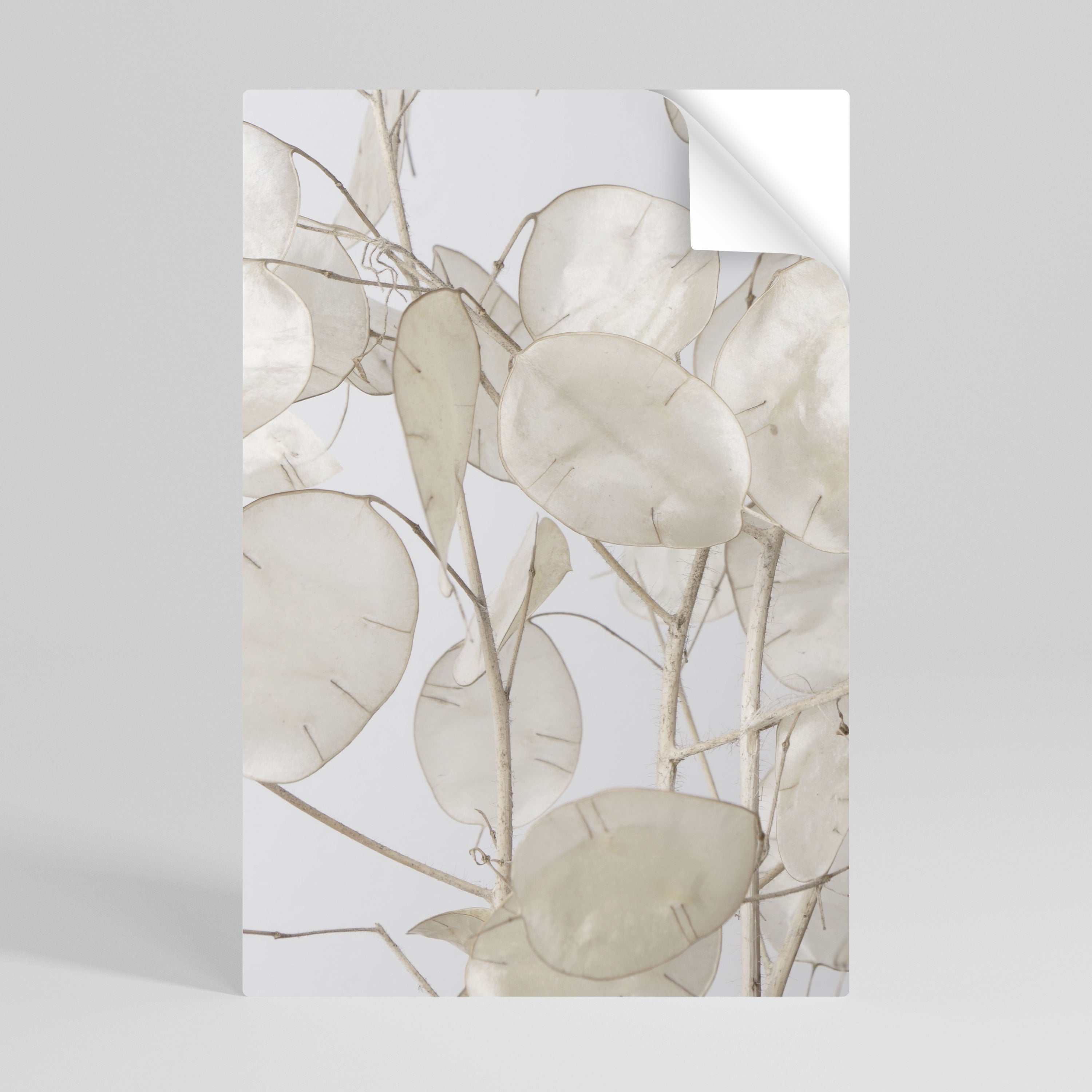 Affiche verticale autocollante « SILKY FOLIAGE WHISPERS »