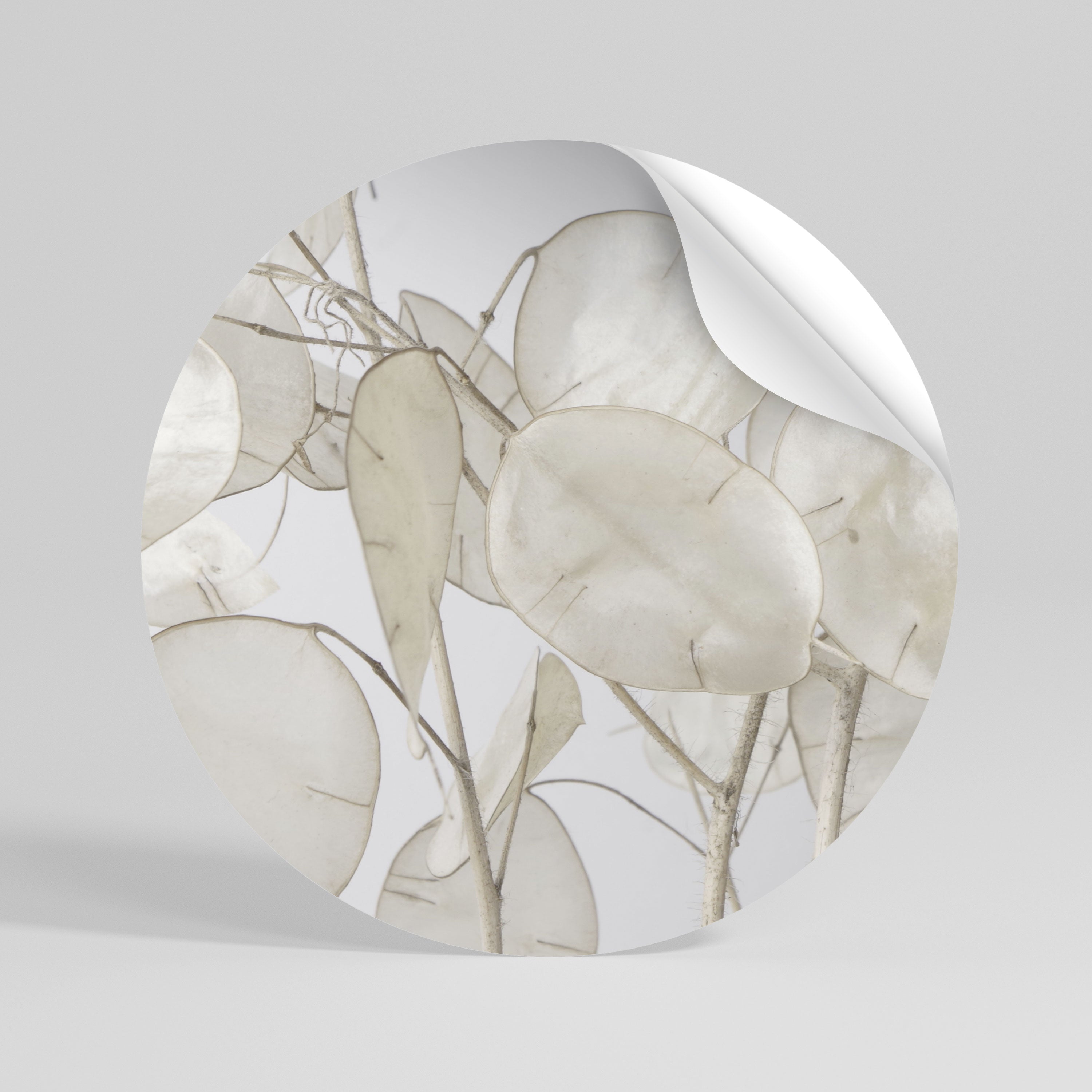 SILKY FOLIAGE WHISPERS Peel and Stick Round Sticker