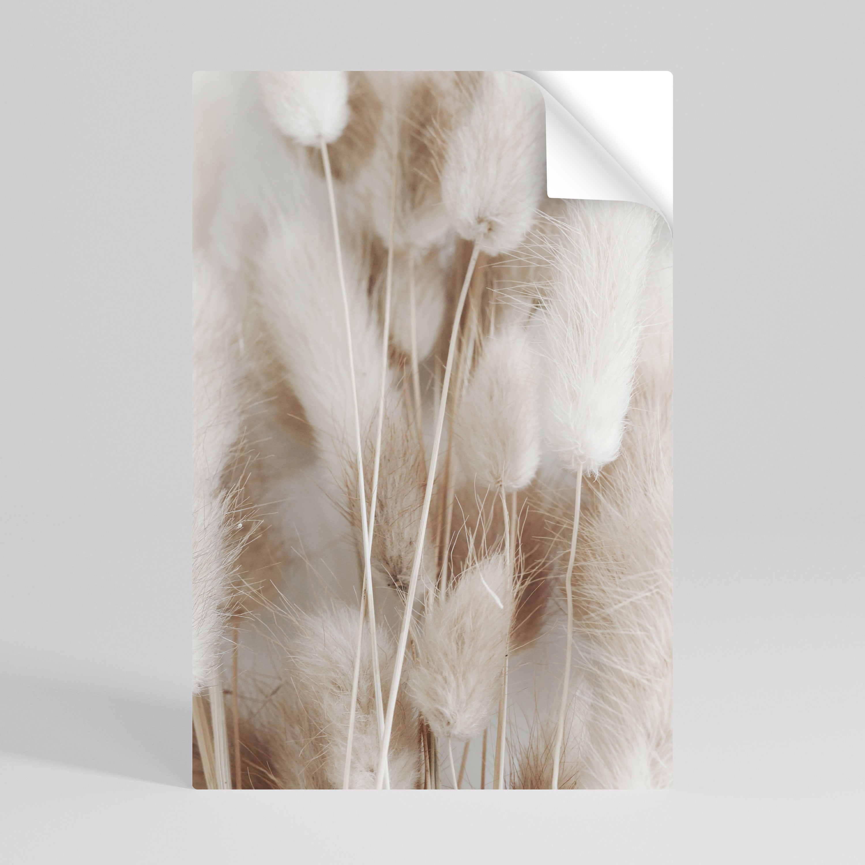 SOFTNESS IN FOCUS Peel and Stick Vertical Poster