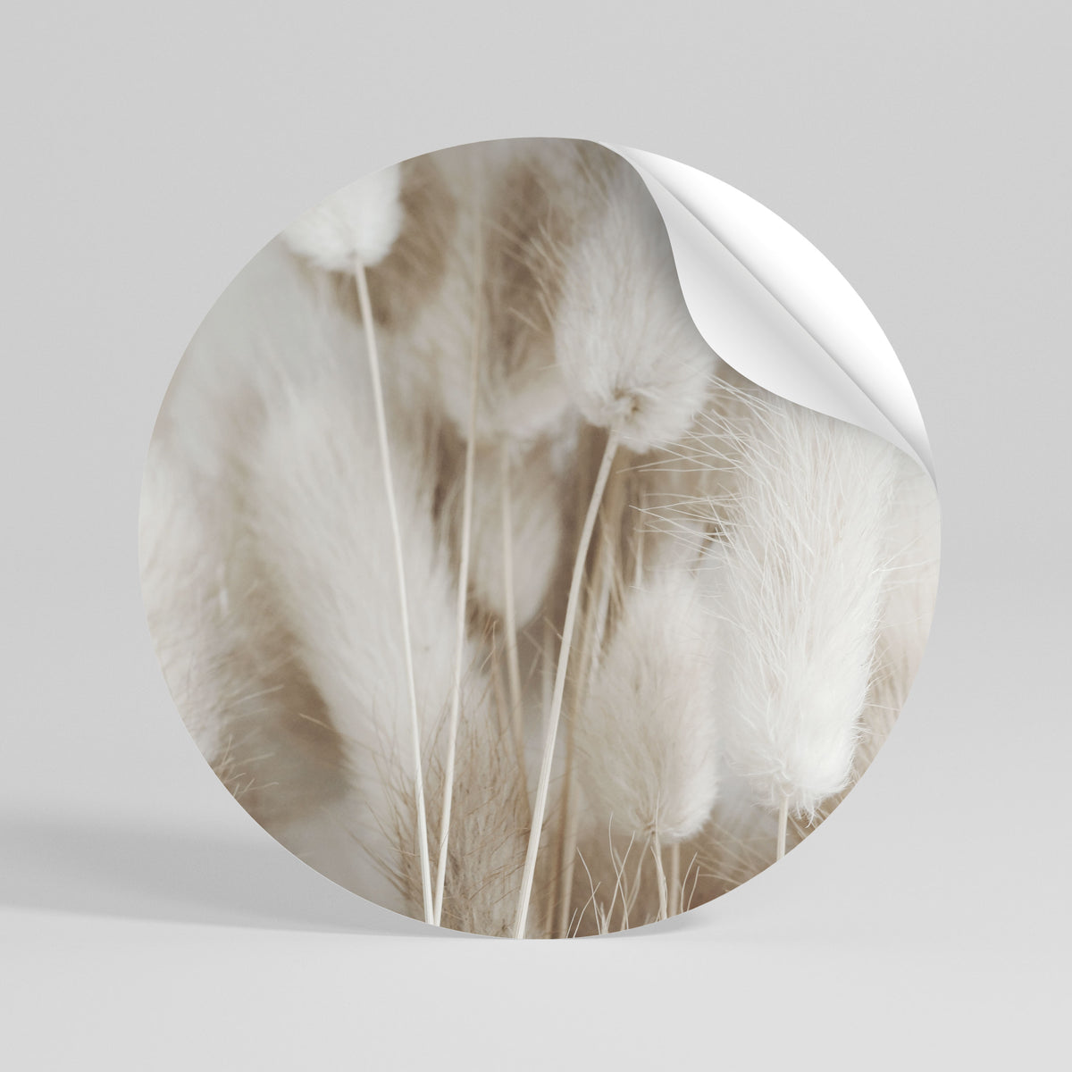 SOFTNESS IN FOCUS Peel and Stick Round Sticker