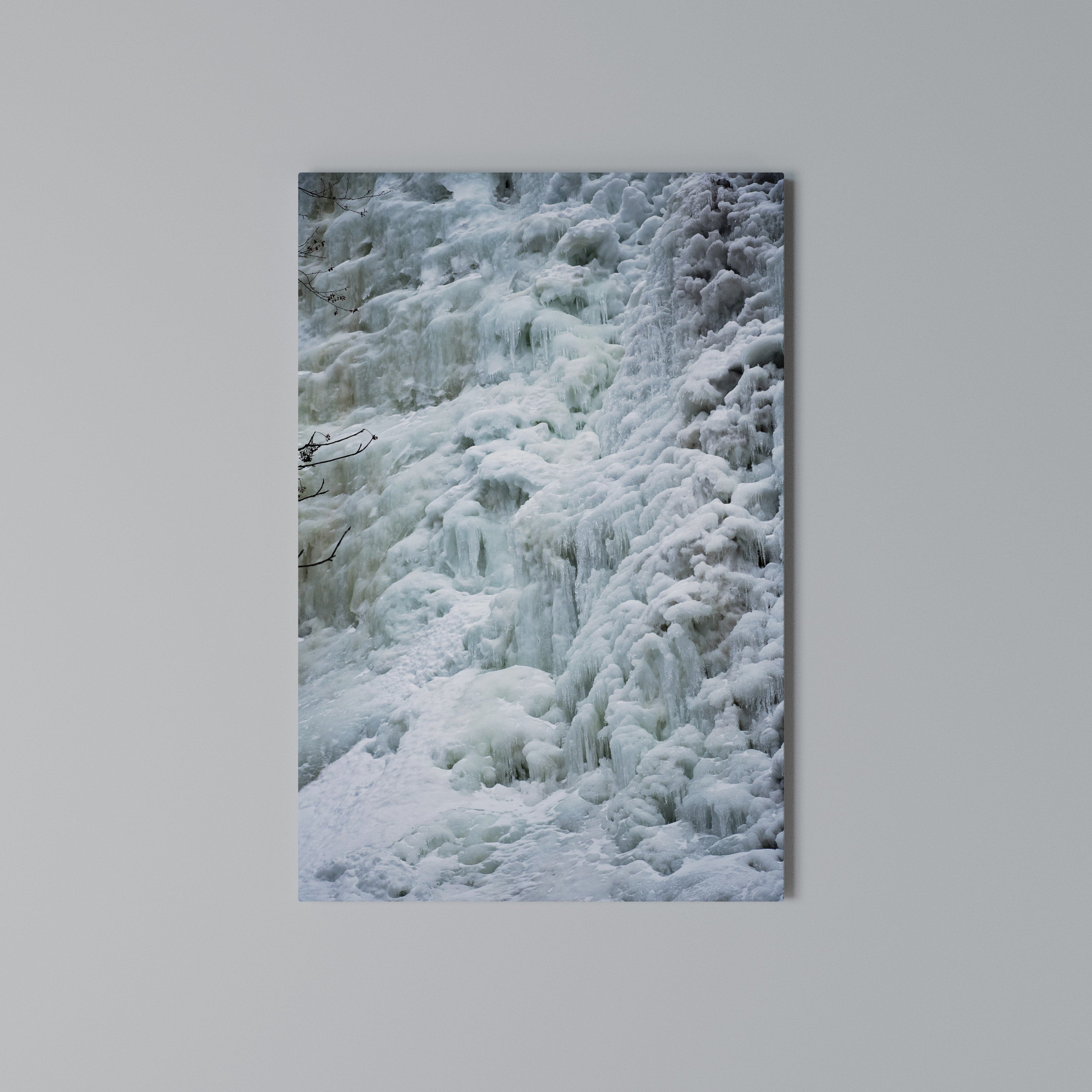 FROSTED WHISPERS Vertical Canvas Print