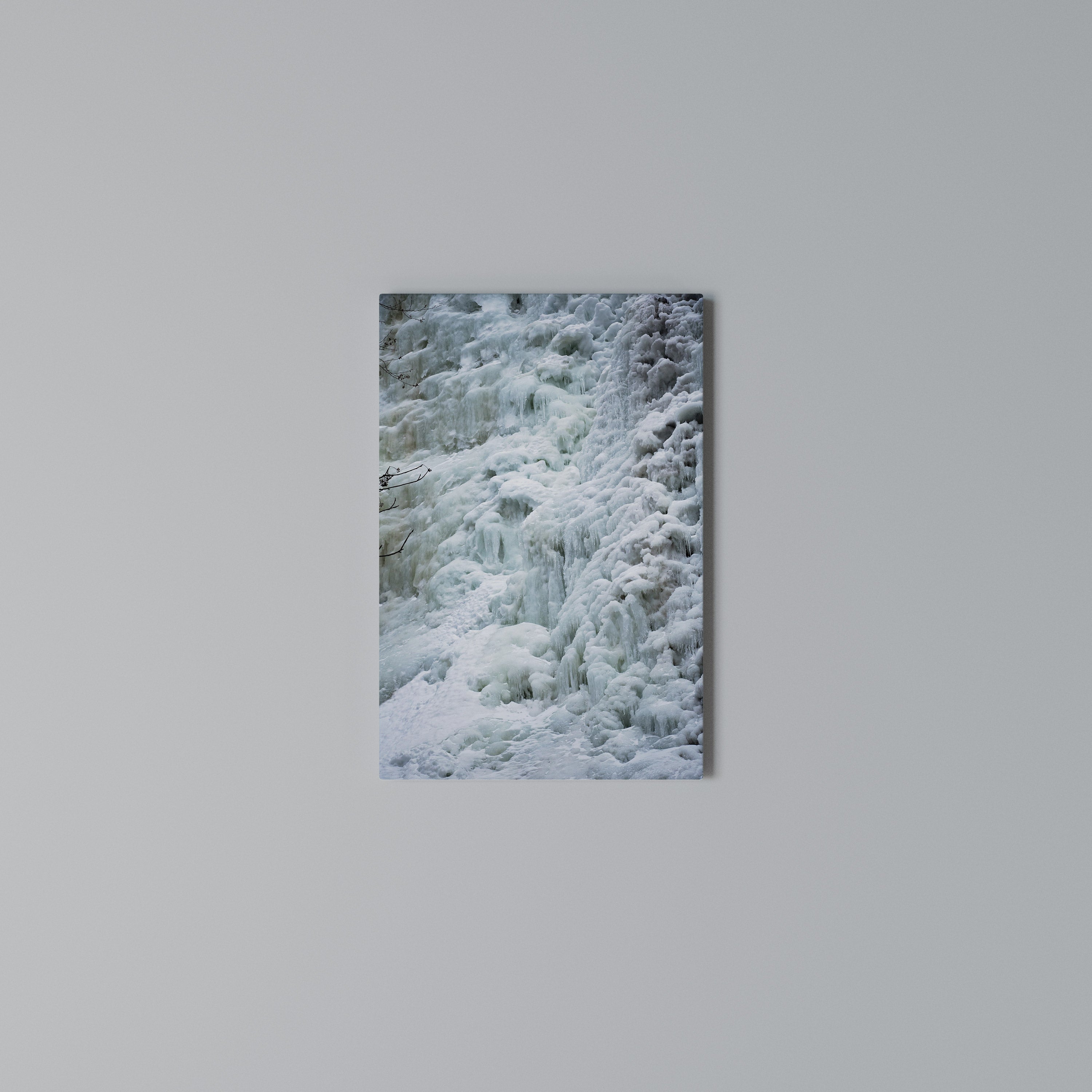 FROSTED WHISPERS Vertical Canvas Print