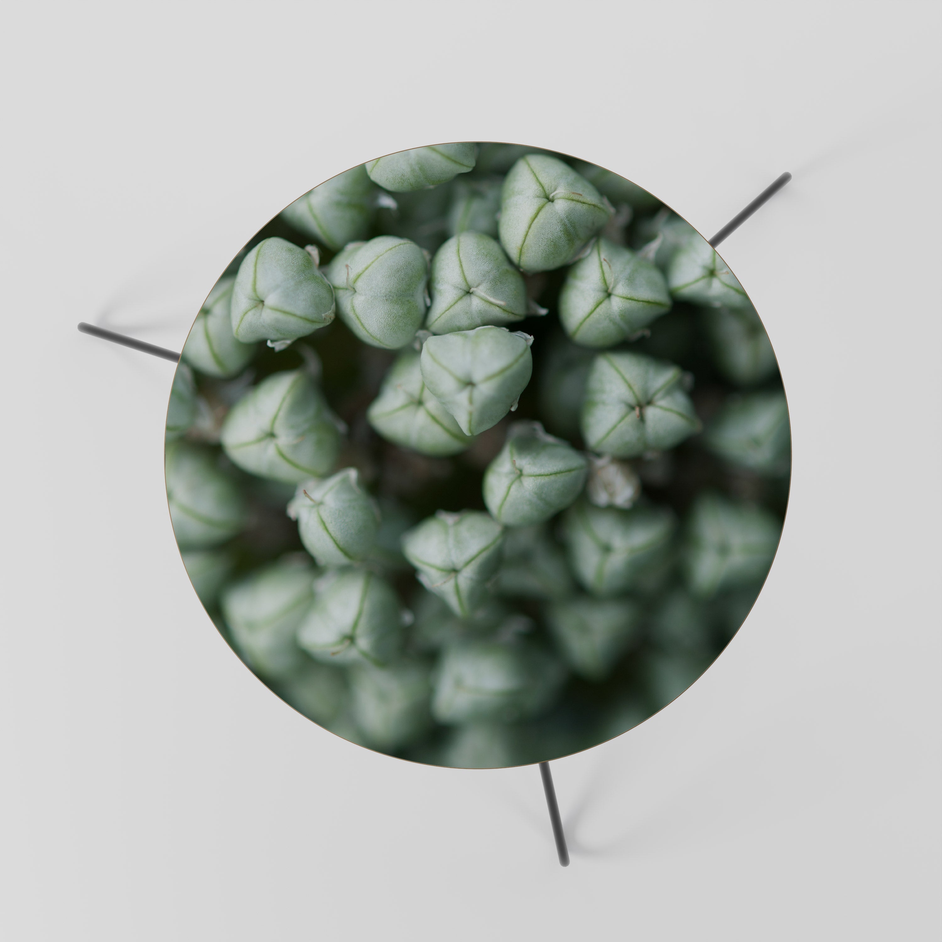 Table basse TIDBITS VERTES TEXTURÉES 60