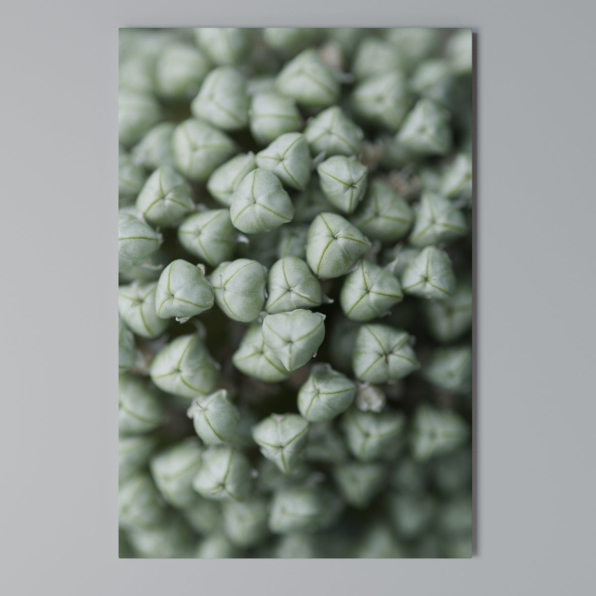 TEXTURED GREEN TIDBITS Vertical Canvas Print