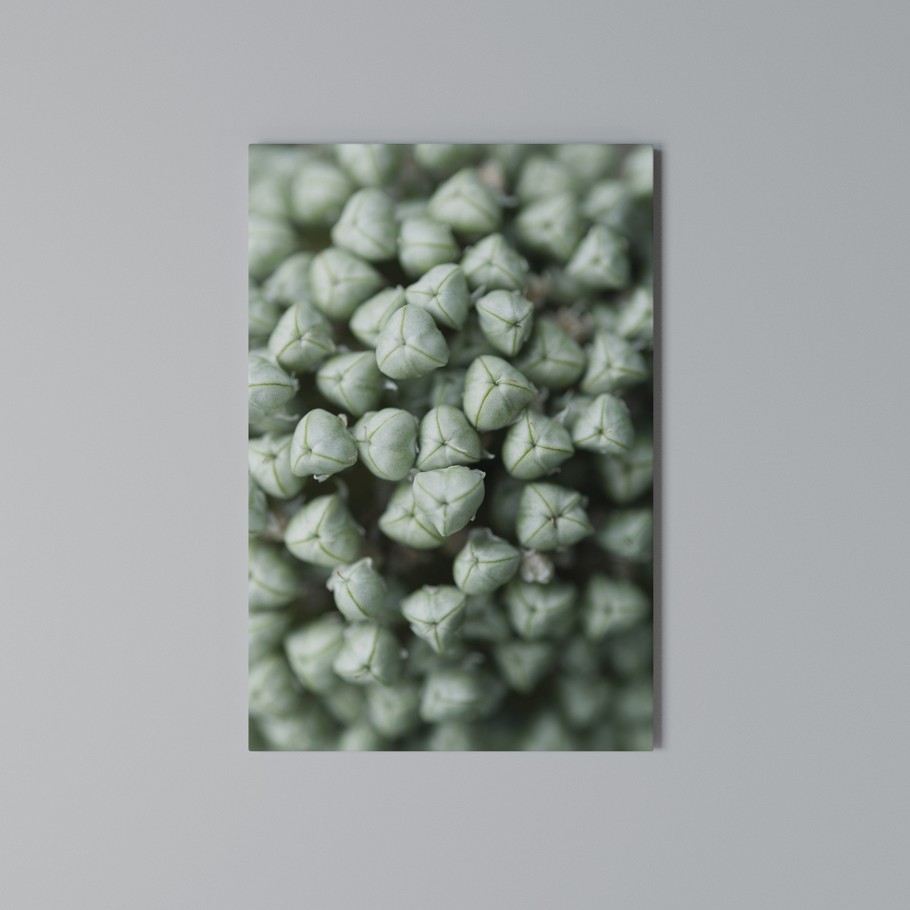 TEXTURED GREEN TIDBITS Vertical Canvas Print