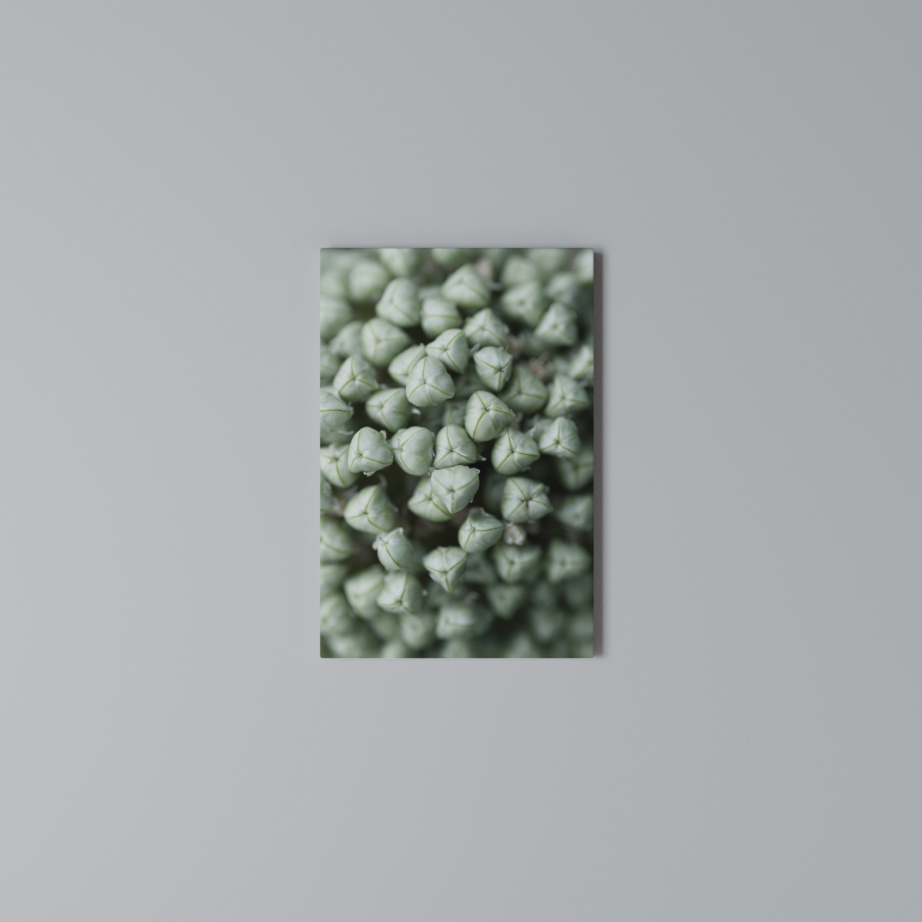 TEXTURED GREEN TIDBITS Vertical Canvas Print