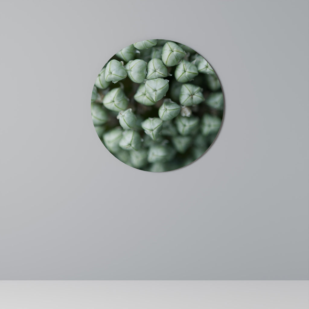 Décoration murale ronde TEXTURÉE GREEN TIDBITS