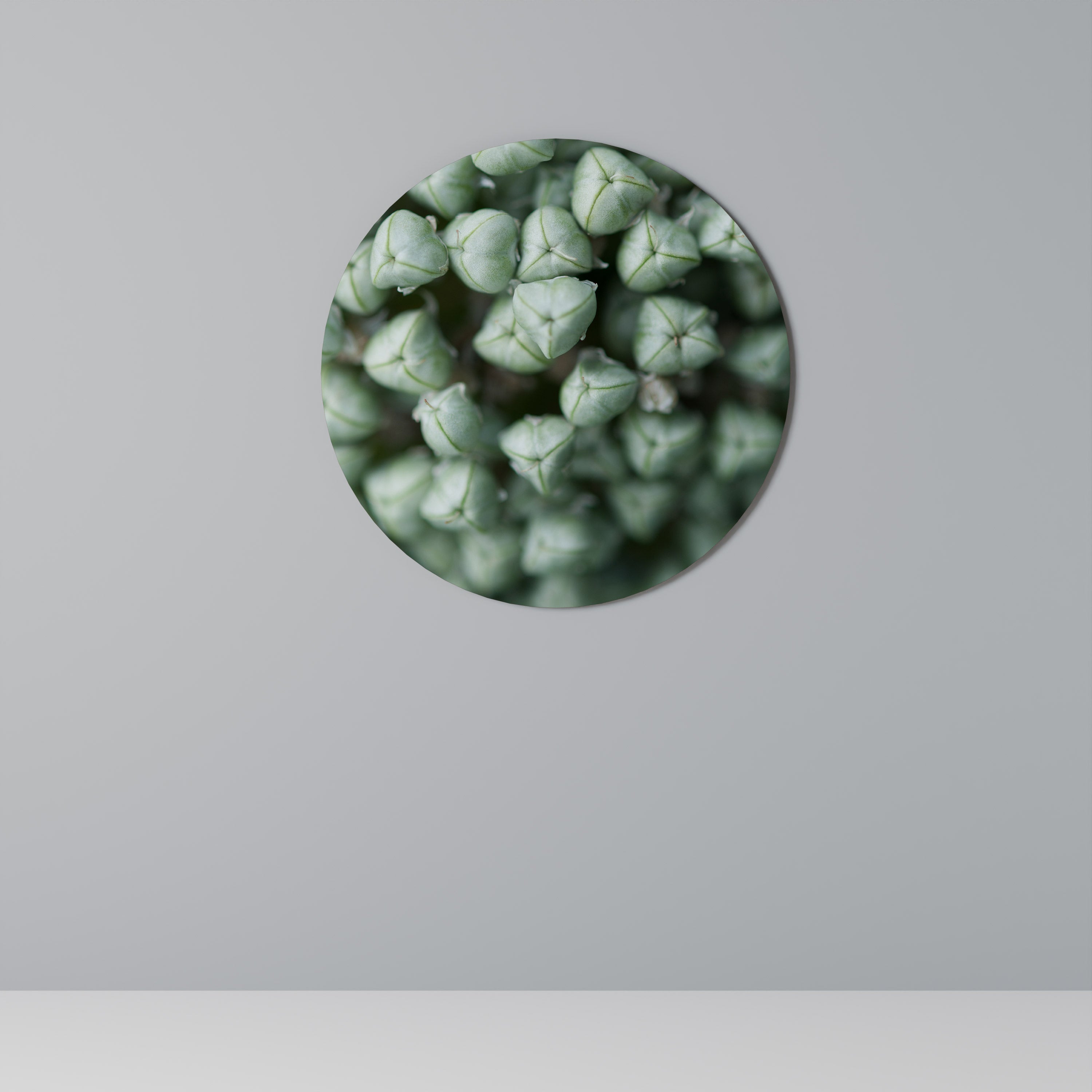 Décoration murale ronde TEXTURÉE GREEN TIDBITS