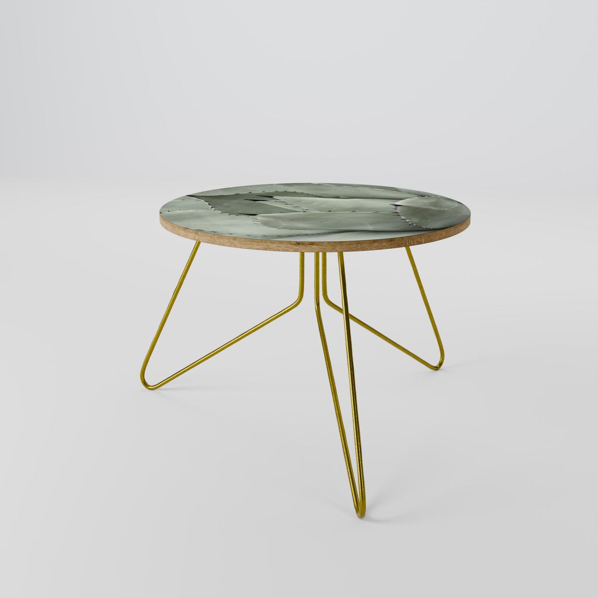 MYSTICAL SUCCULENT DREAM Coffee Table