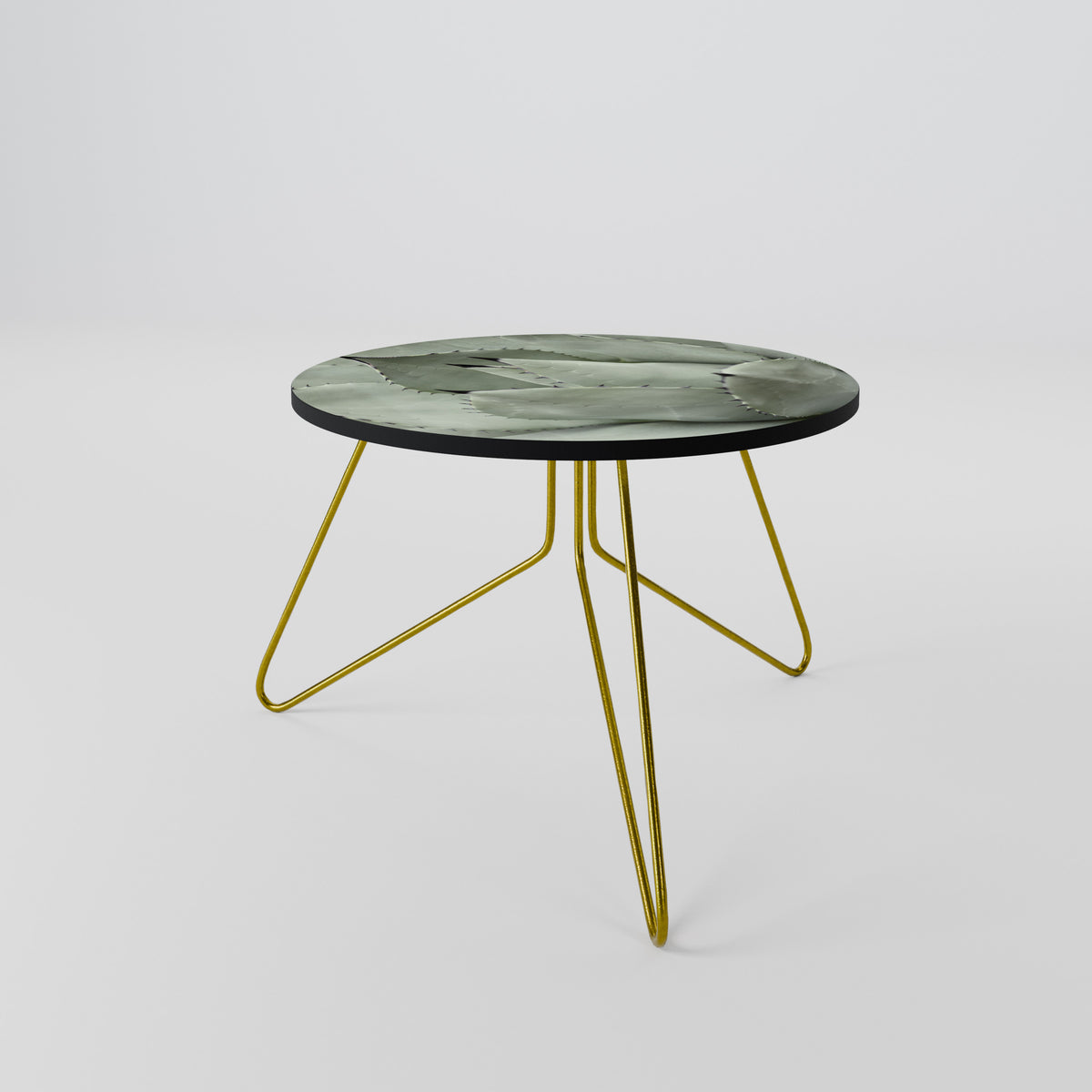 MYSTICAL SUCCULENT DREAM Coffee Table