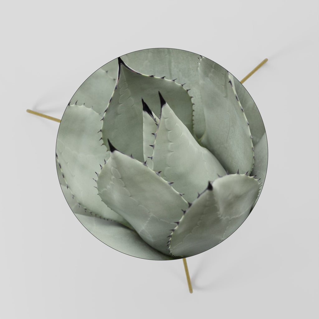 Table basse MYSTIQUE SUCCULENTE DREAM 60