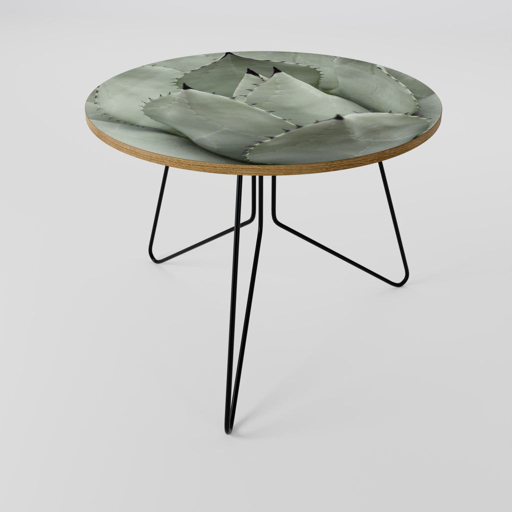 Table basse MYSTIQUE SUCCULENTE DREAM 69