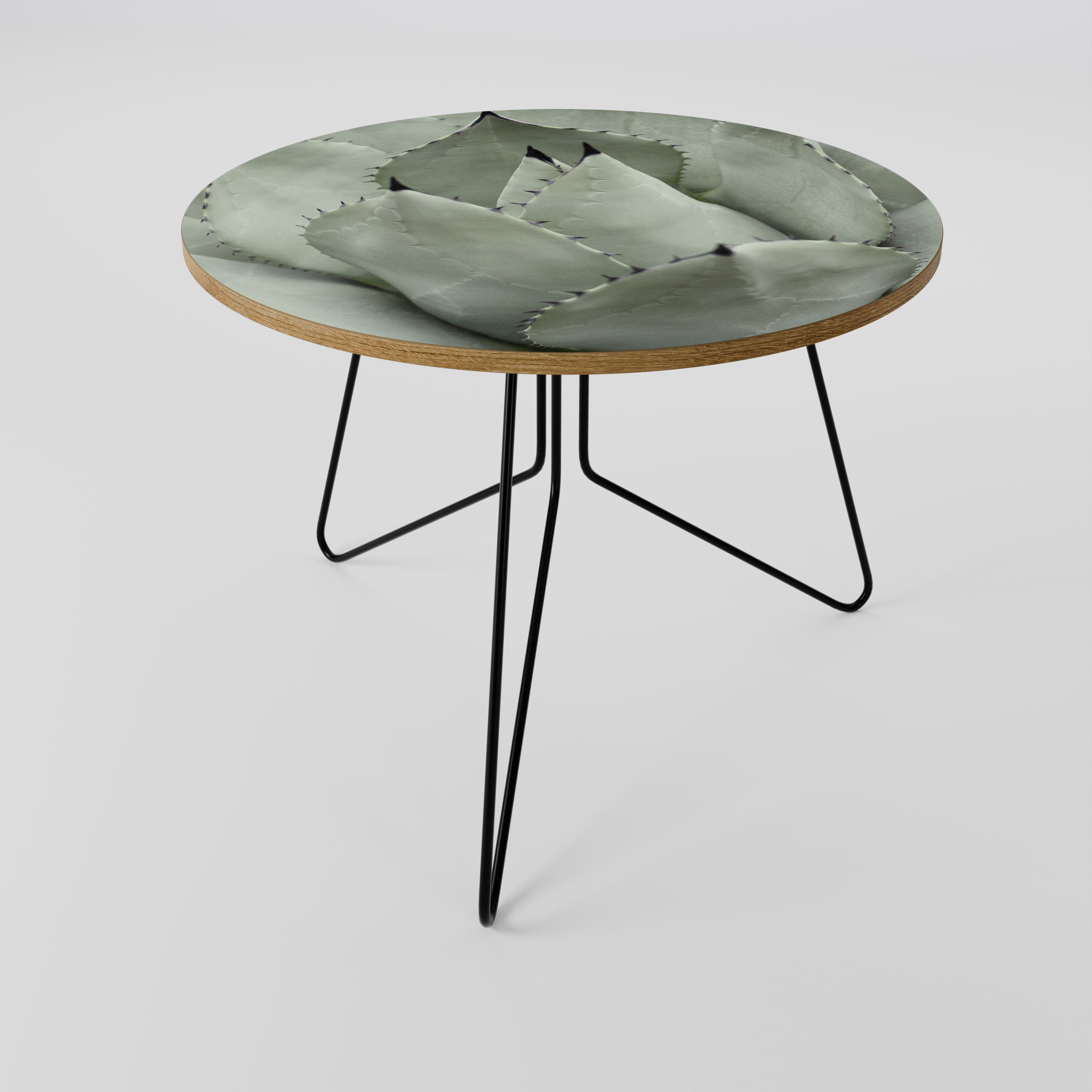 Table basse MYSTIQUE SUCCULENTE DREAM 69