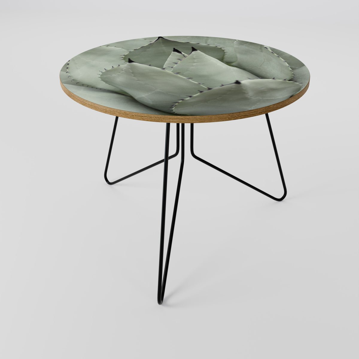 MYSTICAL SUCCULENT DREAM Coffee Table