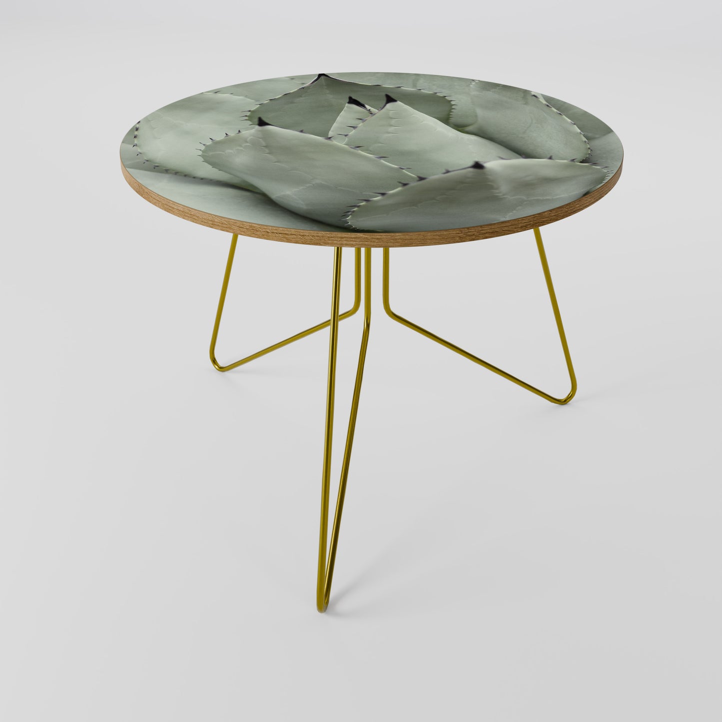 MYSTICAL SUCCULENT DREAM Coffee Table
