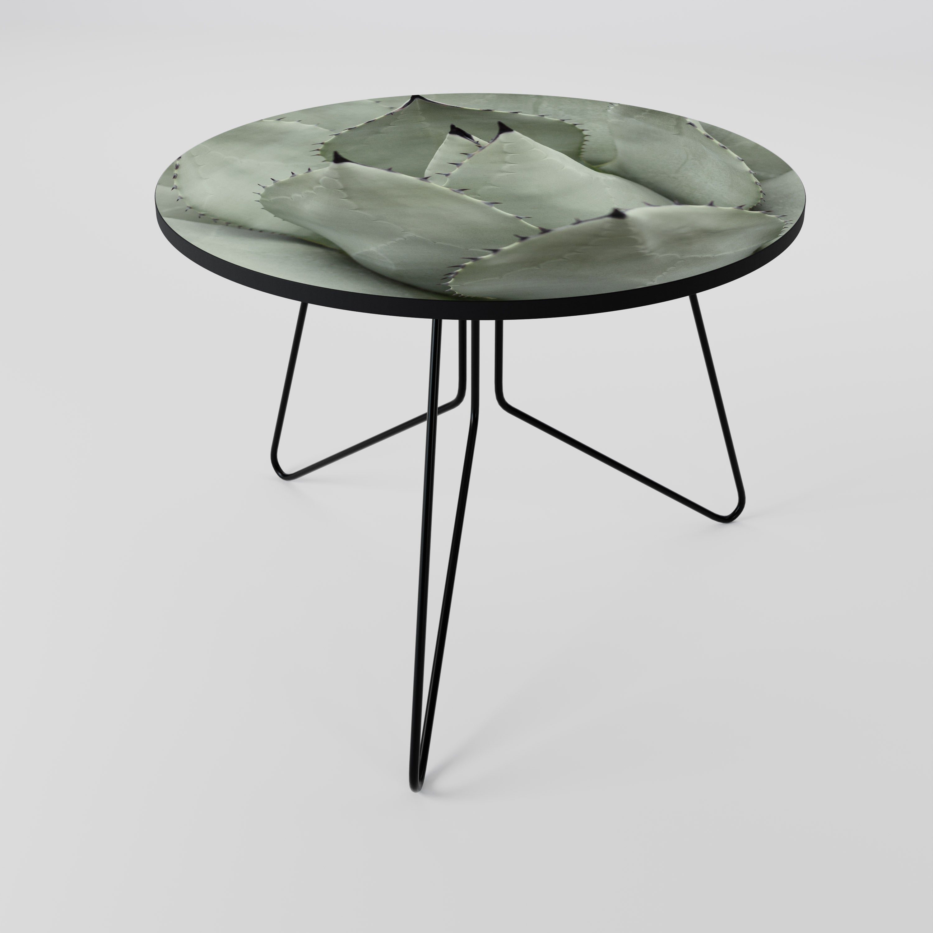 Table basse MYSTIQUE SUCCULENTE DREAM 69