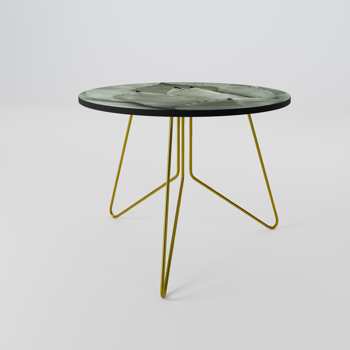 MYSTICAL SUCCULENT DREAM Coffee Table