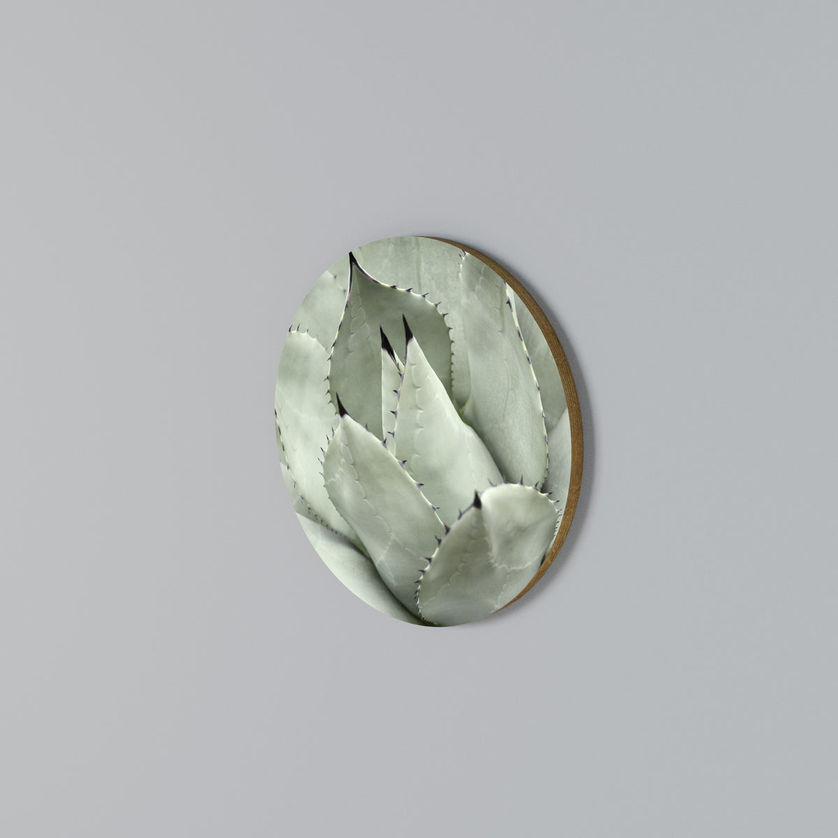 MYSTICAL SUCCULENT DREAM Round Wall Art