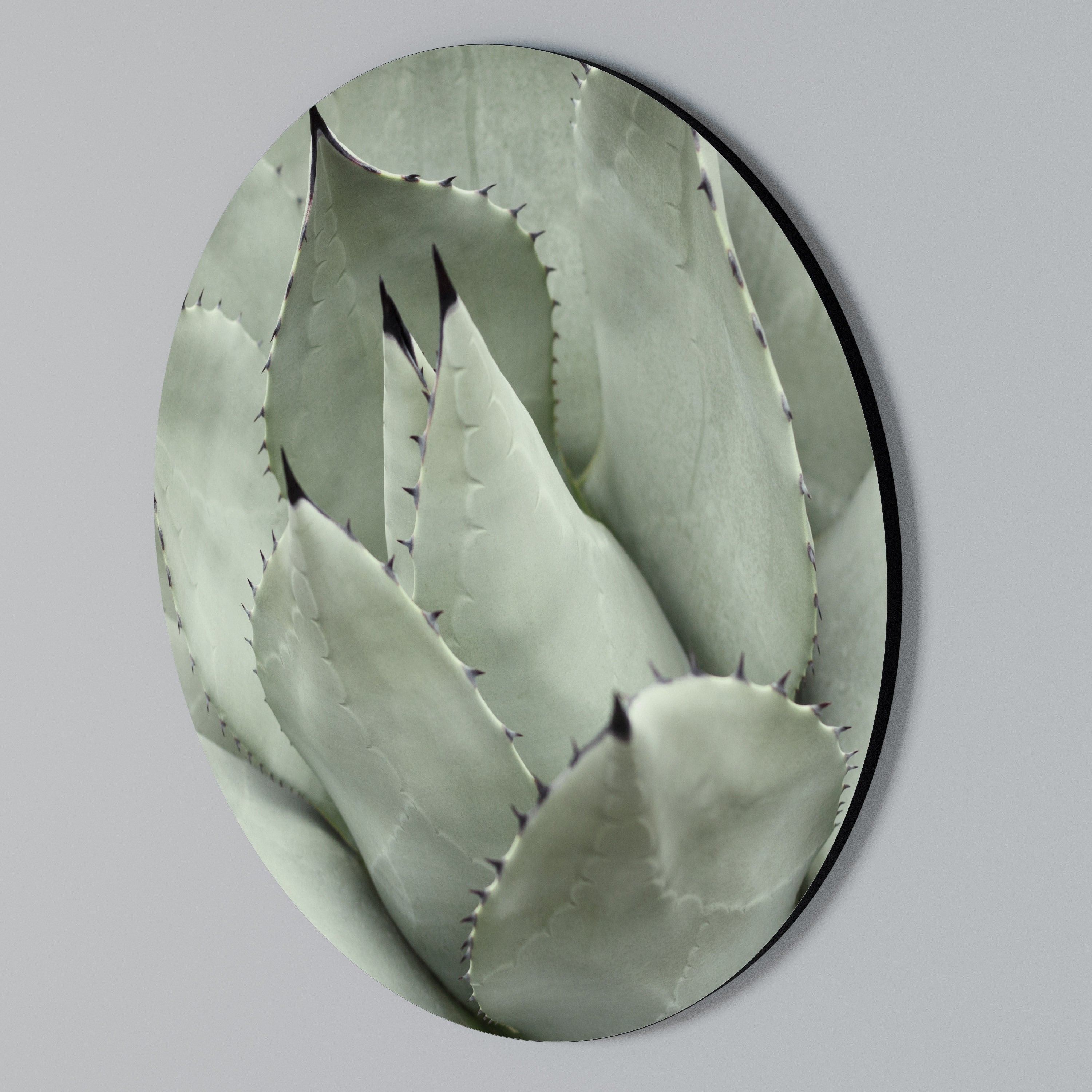 MYSTICAL SUCCULENT DREAM Round Wall Art