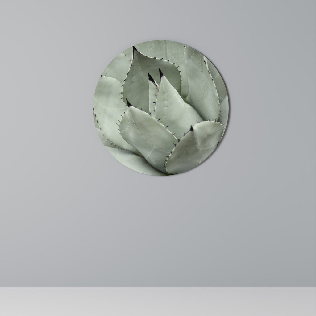 Décoration murale ronde MYSTIQUE SUCCULENTE DREAM