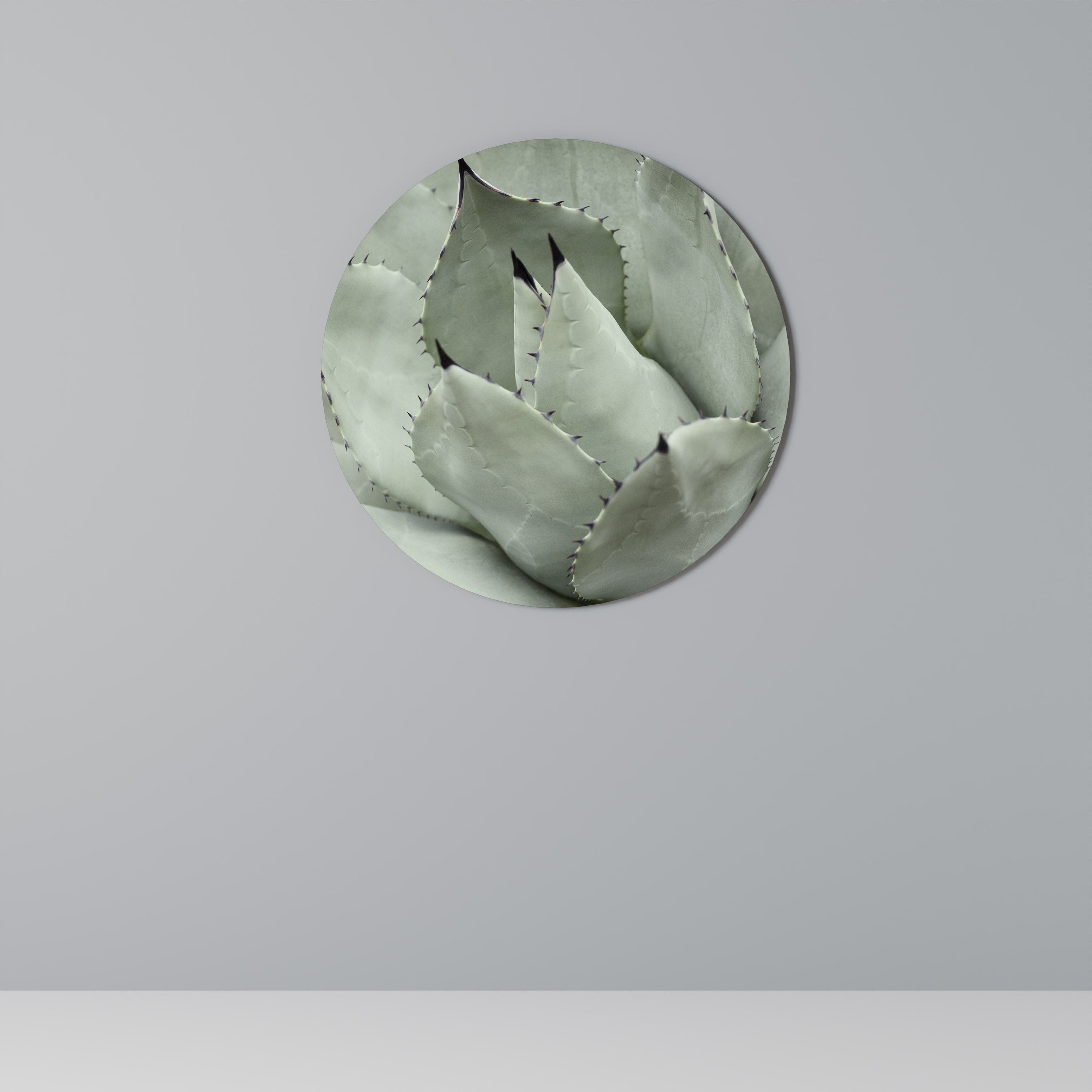 Décoration murale ronde MYSTIQUE SUCCULENTE DREAM