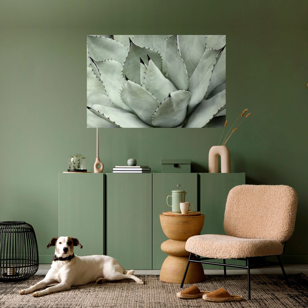 Affiche horizontale autocollante « Rêve mystique de plantes succulentes »