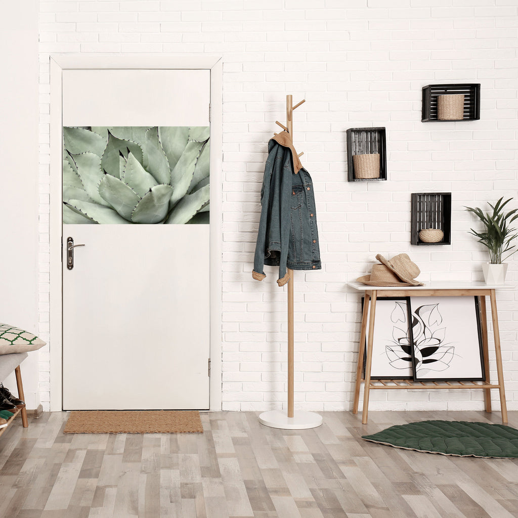 Affiche horizontale autocollante « Rêve mystique de plantes succulentes »