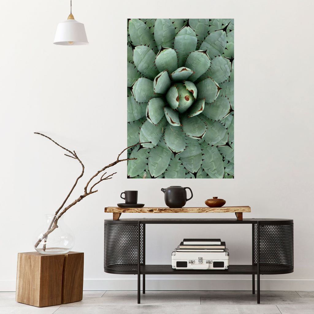 Affiche verticale autocollante SUCCULENT SYMMETRY
