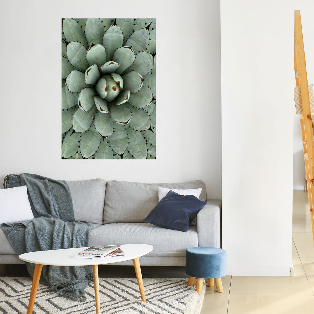 Affiche verticale autocollante SUCCULENT SYMMETRY