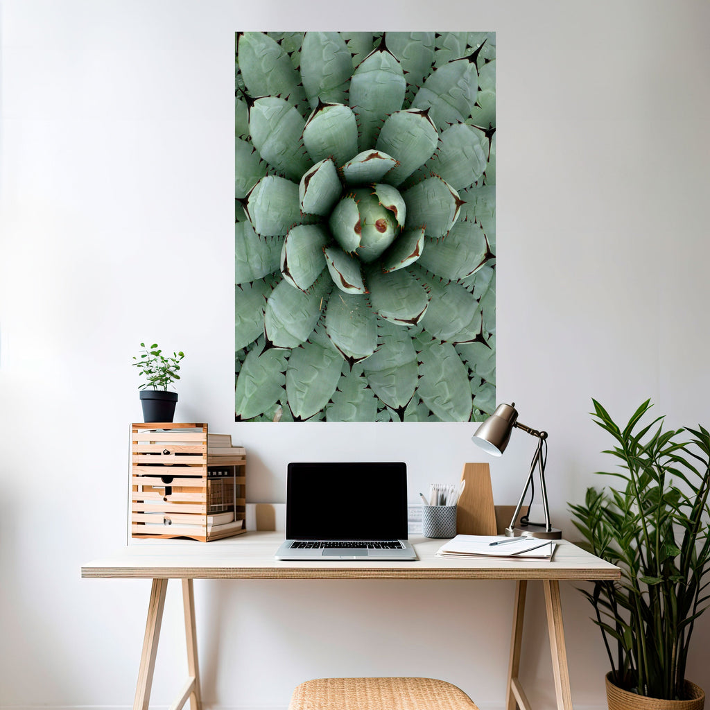 Affiche verticale autocollante SUCCULENT SYMMETRY