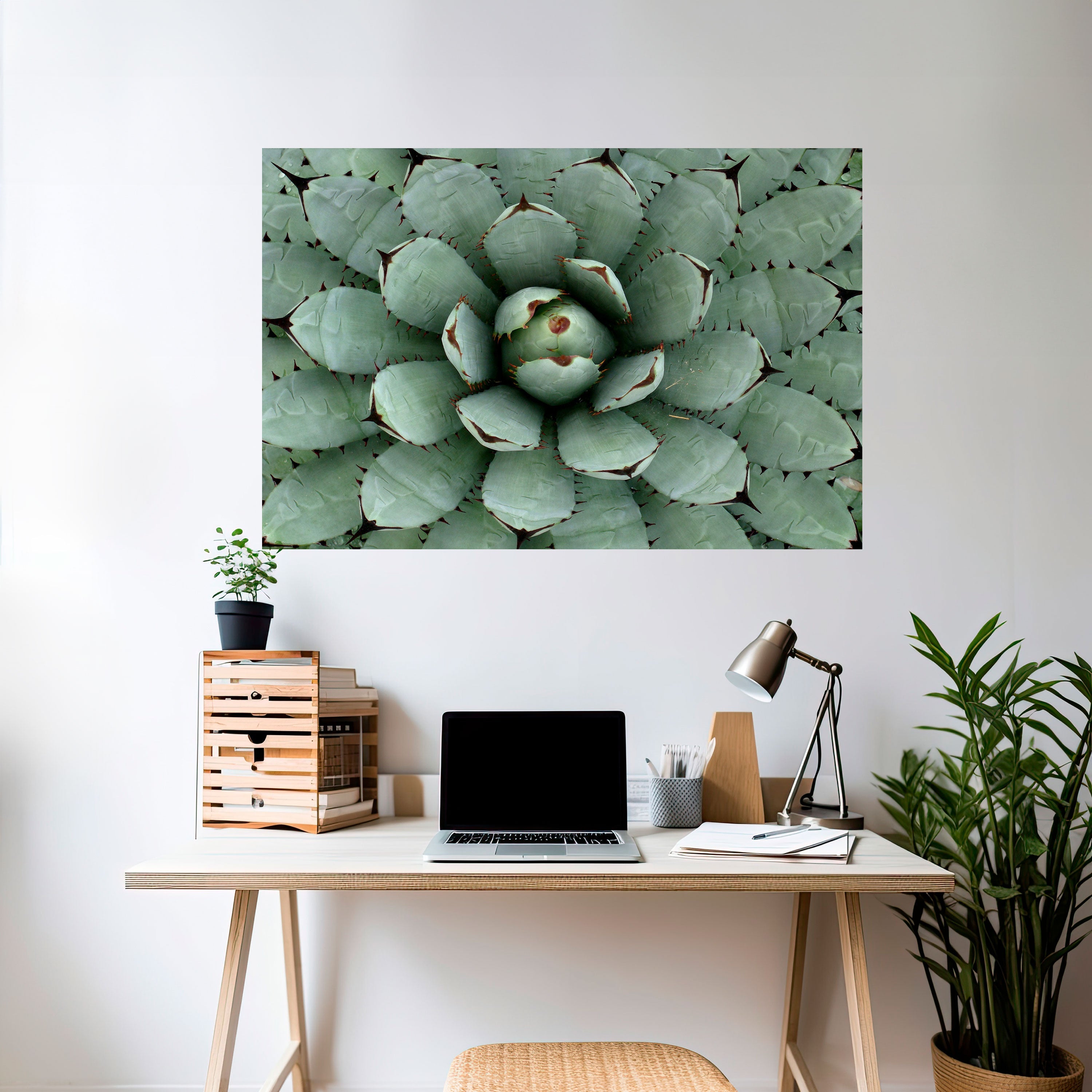 Affiche horizontale autocollante SUCCULENT SYMMETRY