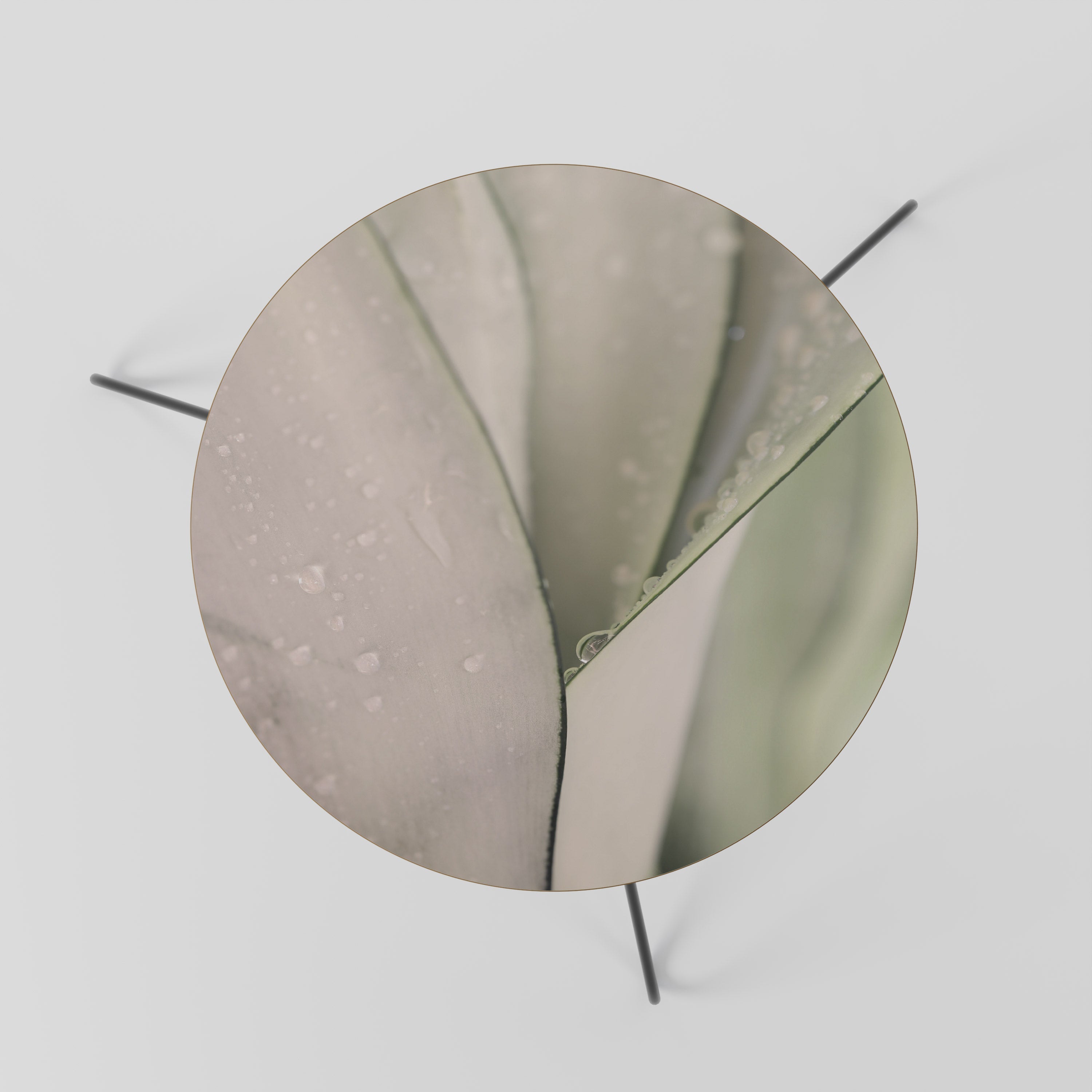 Table basse NATURE'S TAPESTRY 60