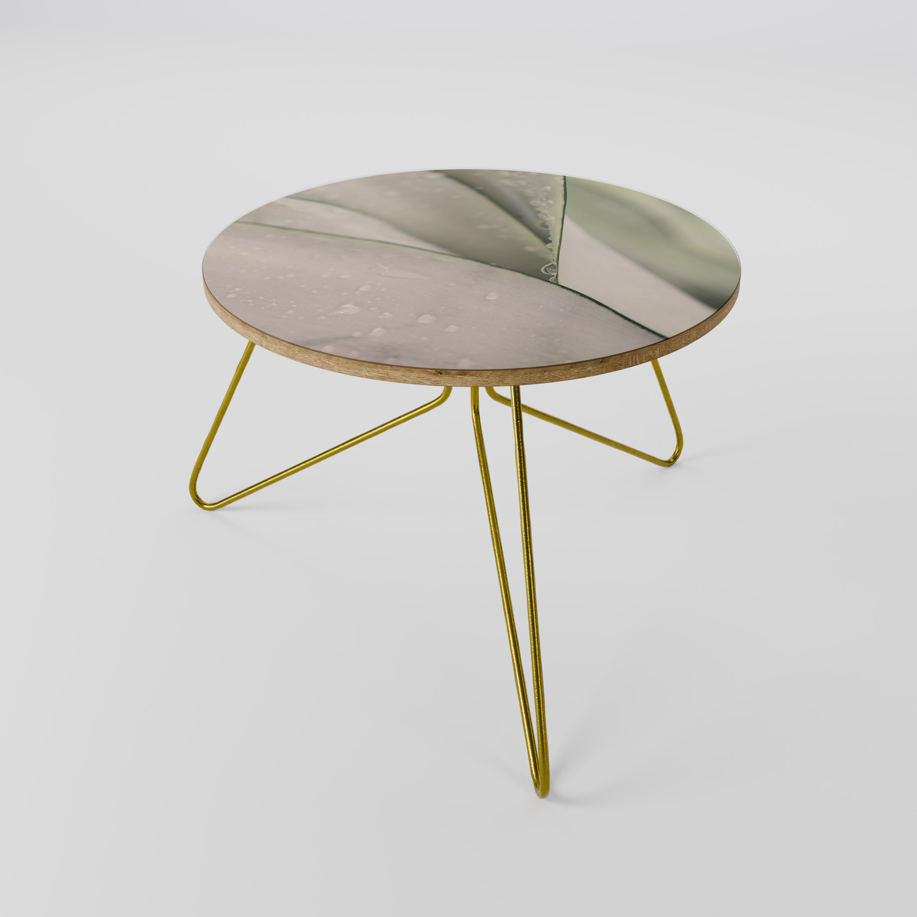 Table basse NATURE'S TAPESTRY 60