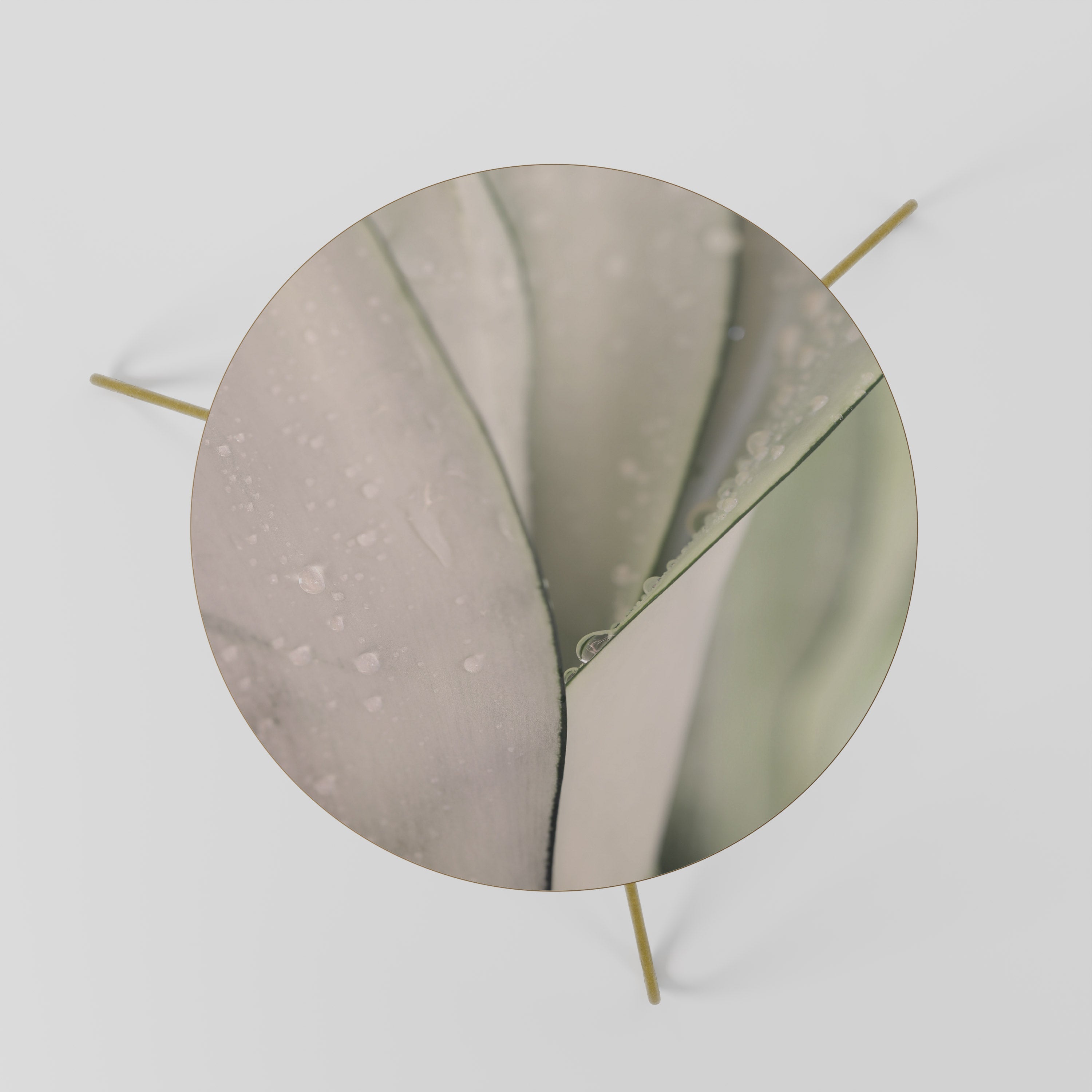 Table basse NATURE'S TAPESTRY 60