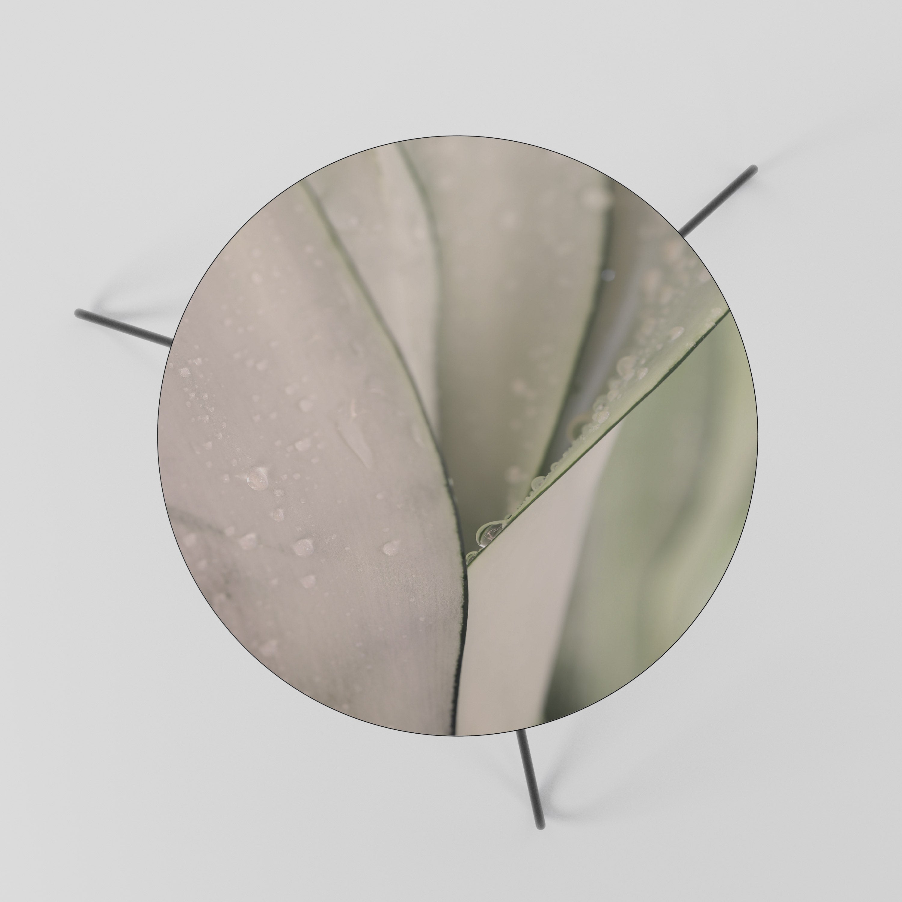 Table basse NATURE'S TAPESTRY 60