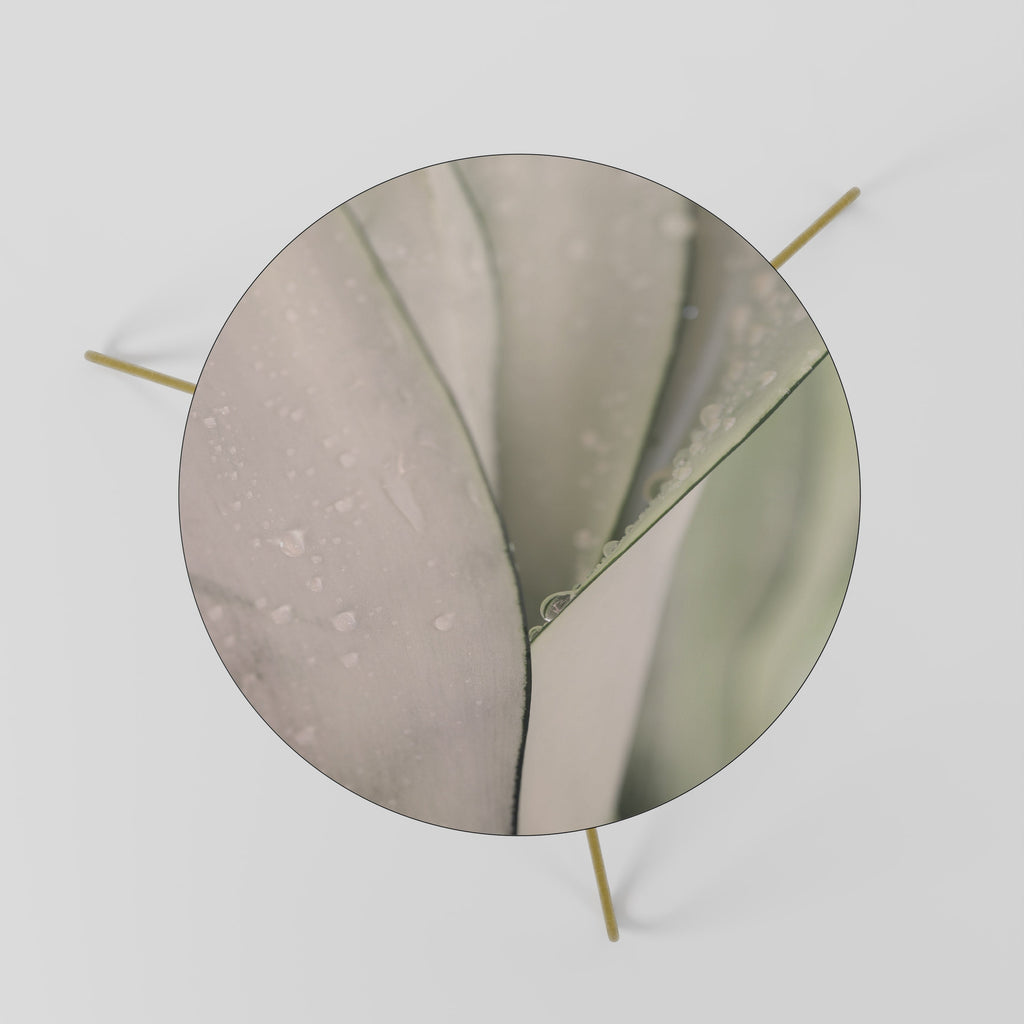 NATURE'S TAPESTRY Coffee Table 60