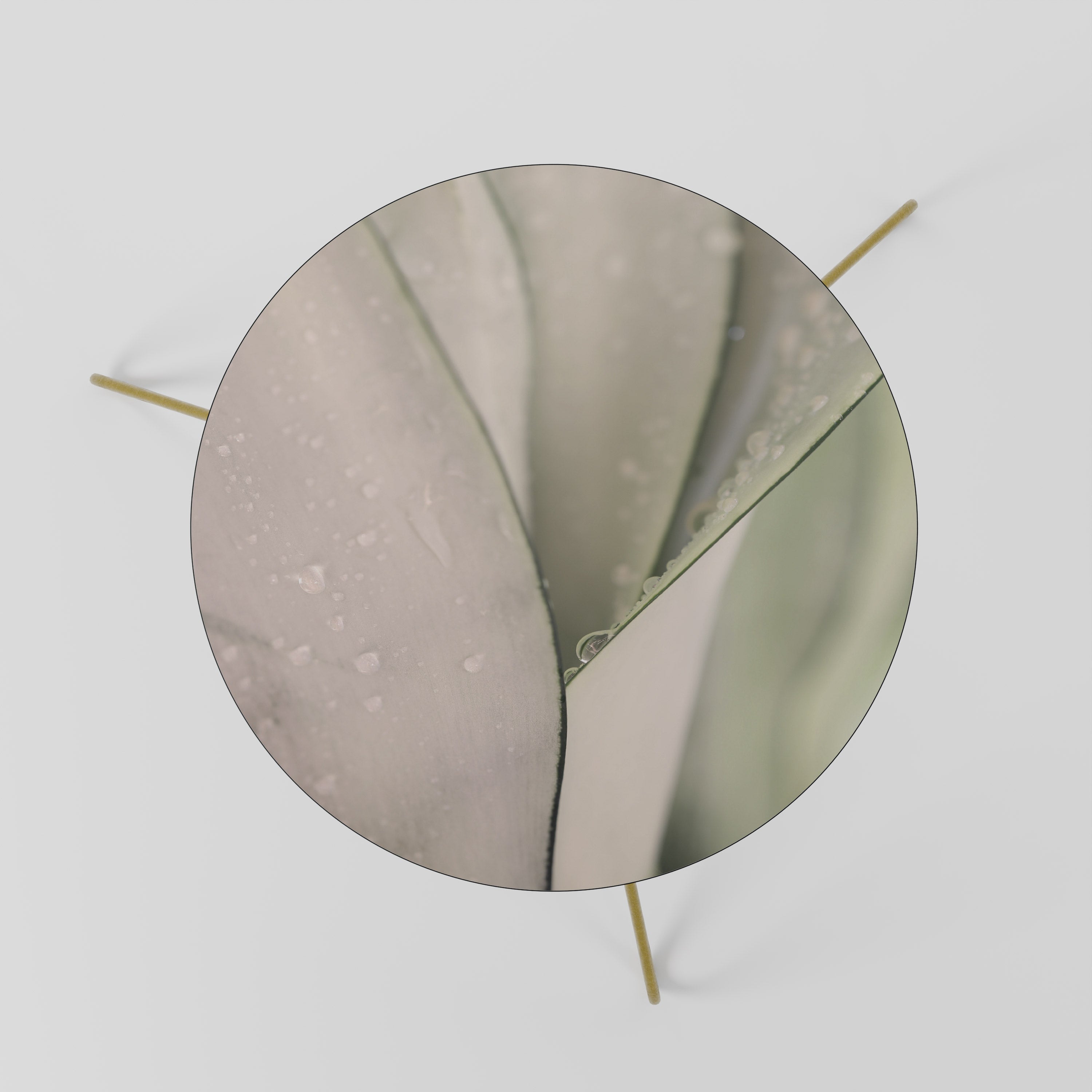 Table basse NATURE'S TAPESTRY 60