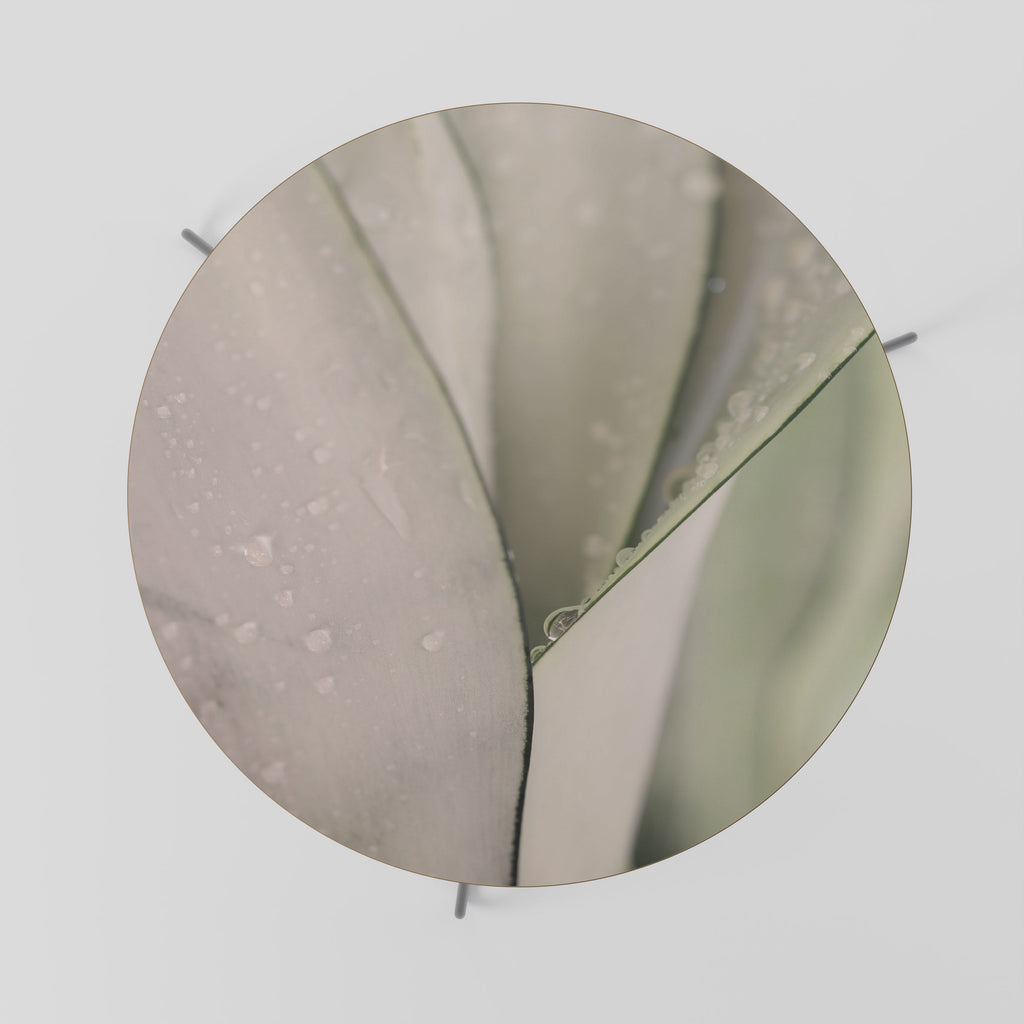 Table basse NATURE'S TAPESTRY 69