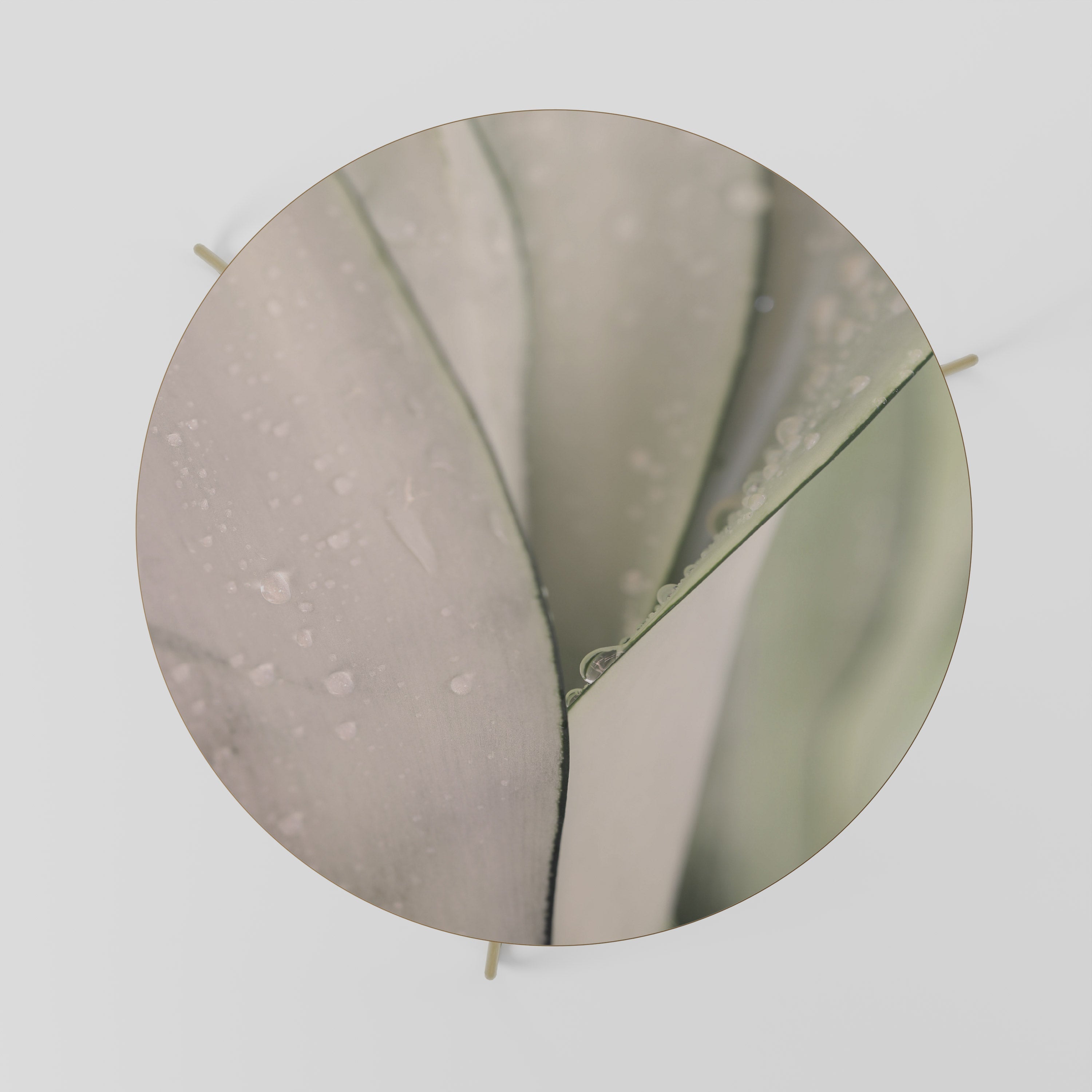 Table basse NATURE'S TAPESTRY 69