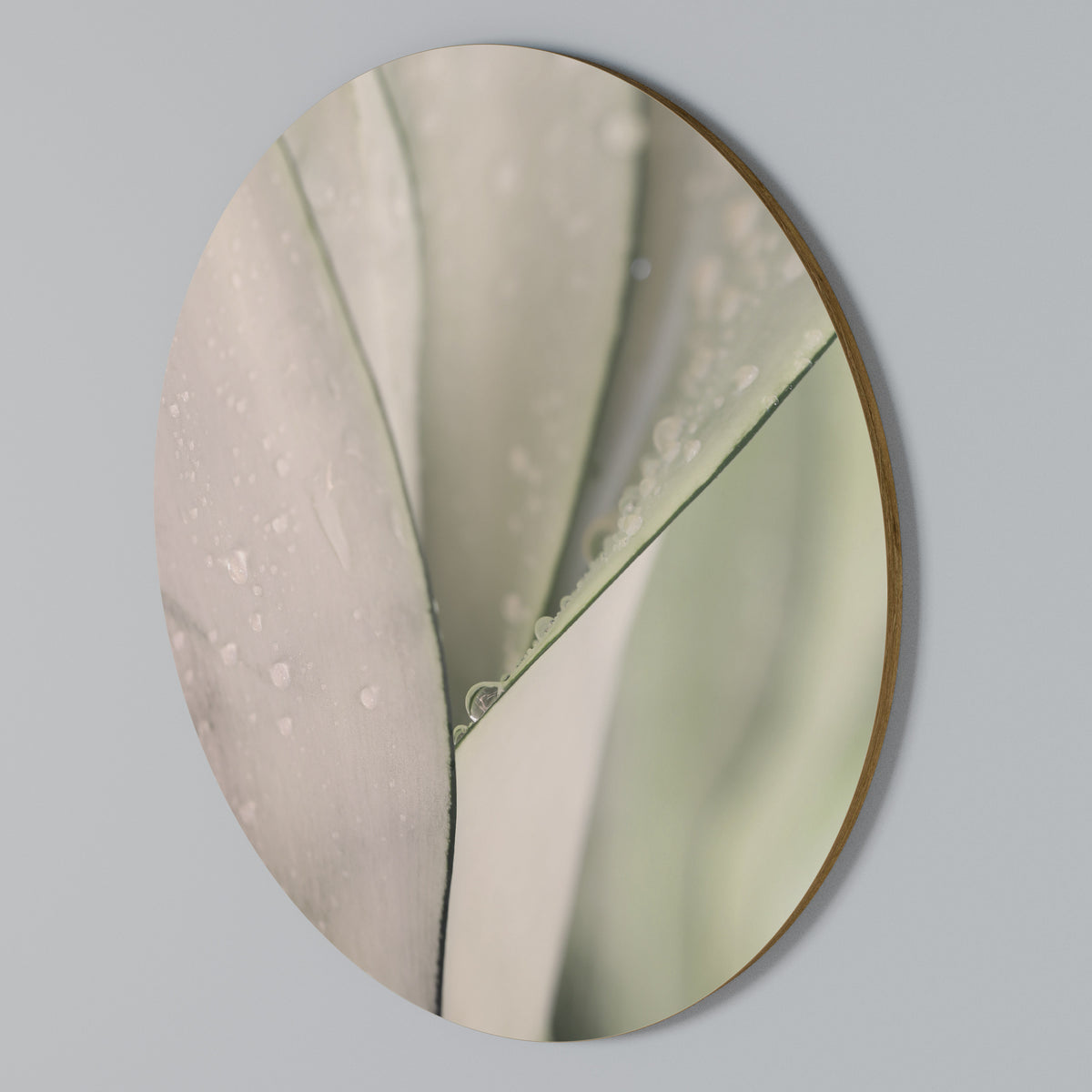 NATURE'S TAPESTRY Round Wall Art