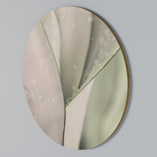 NATURE'S TAPESTRY Round Wall Art