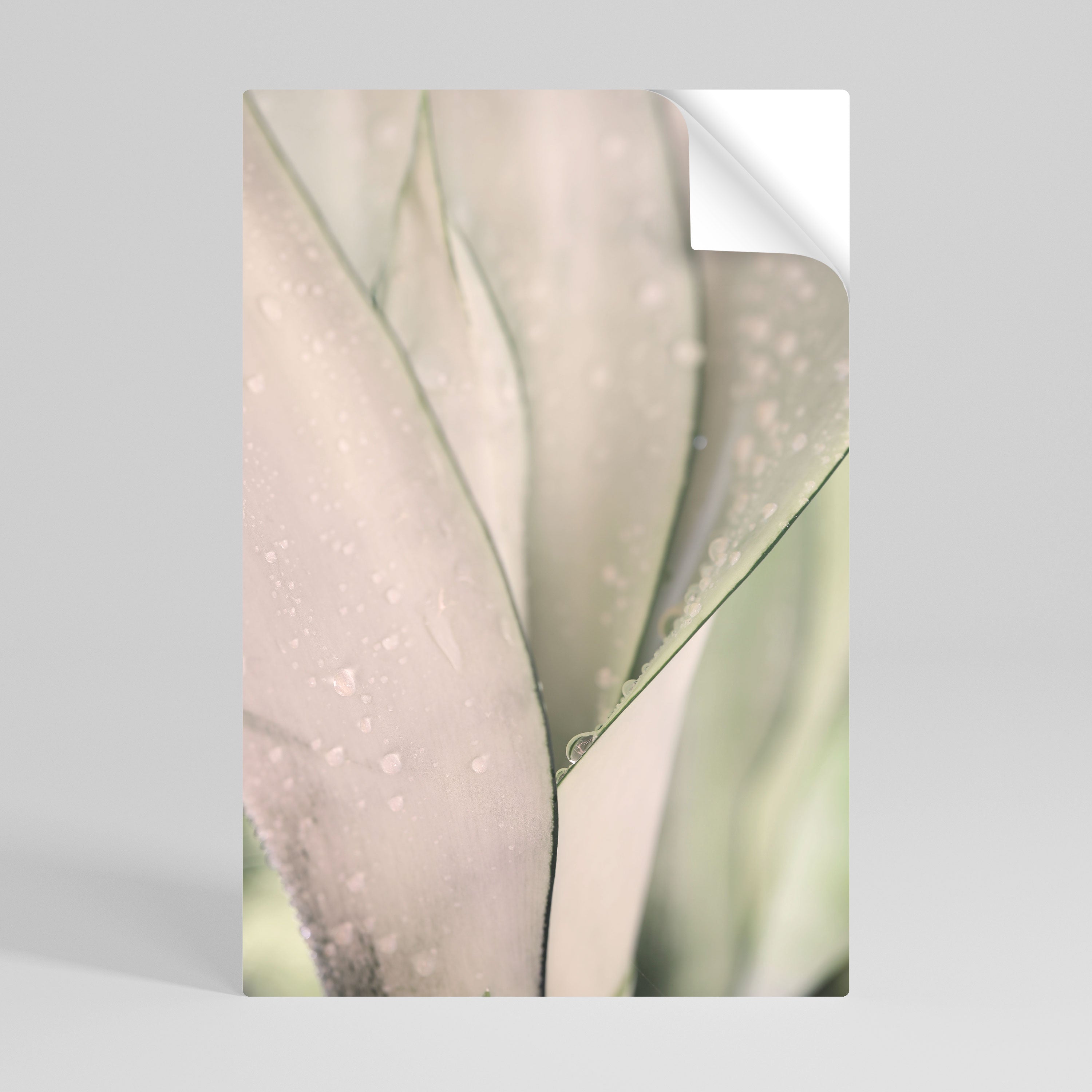 Affiche verticale autocollante NATURE'S TAPESTRY