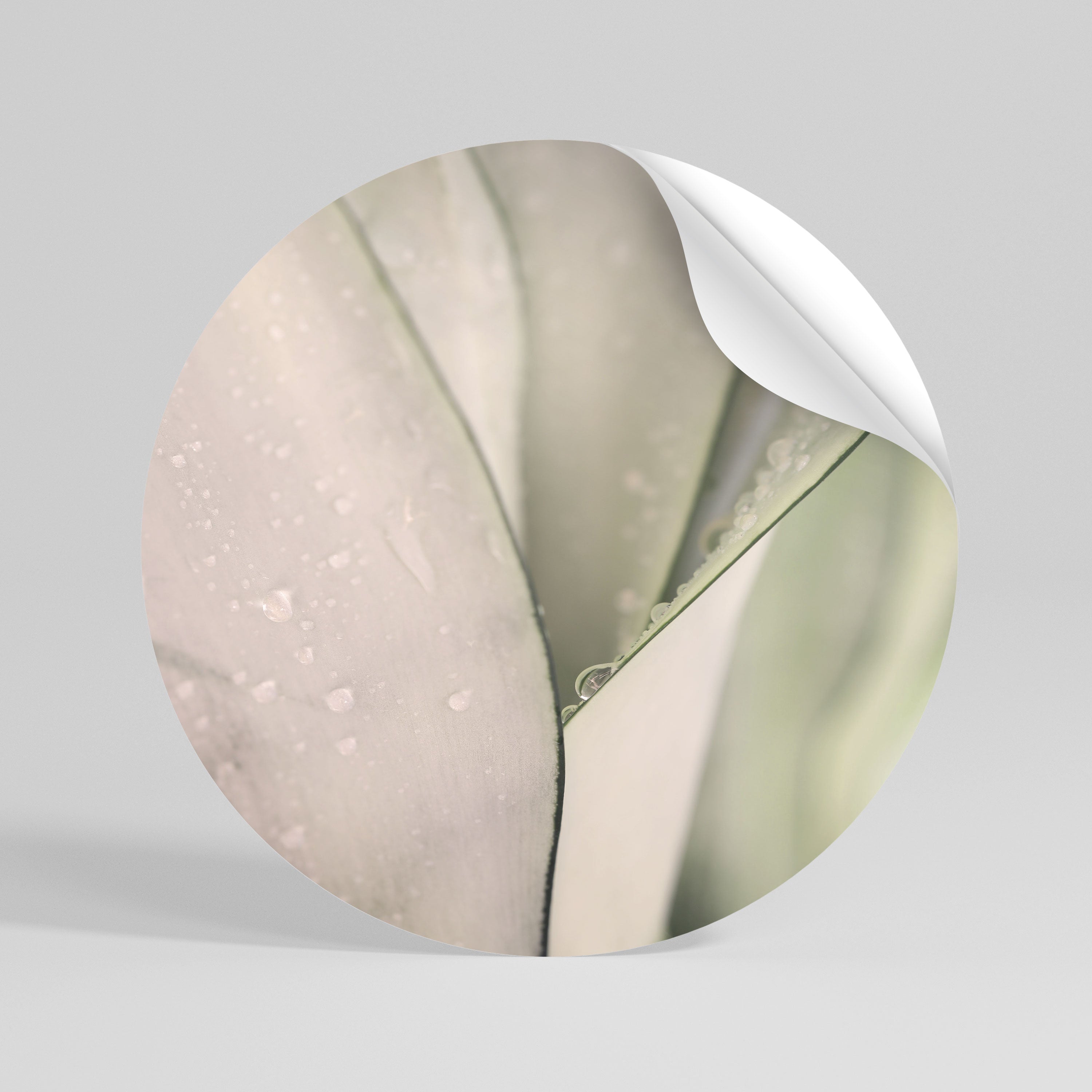 NATURE'S TAPESTRY Peel and Stick Round Sticker