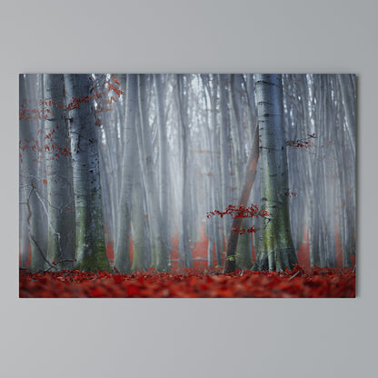 TRANQUIL RED ELEGANCE Horizontal Canvas Print